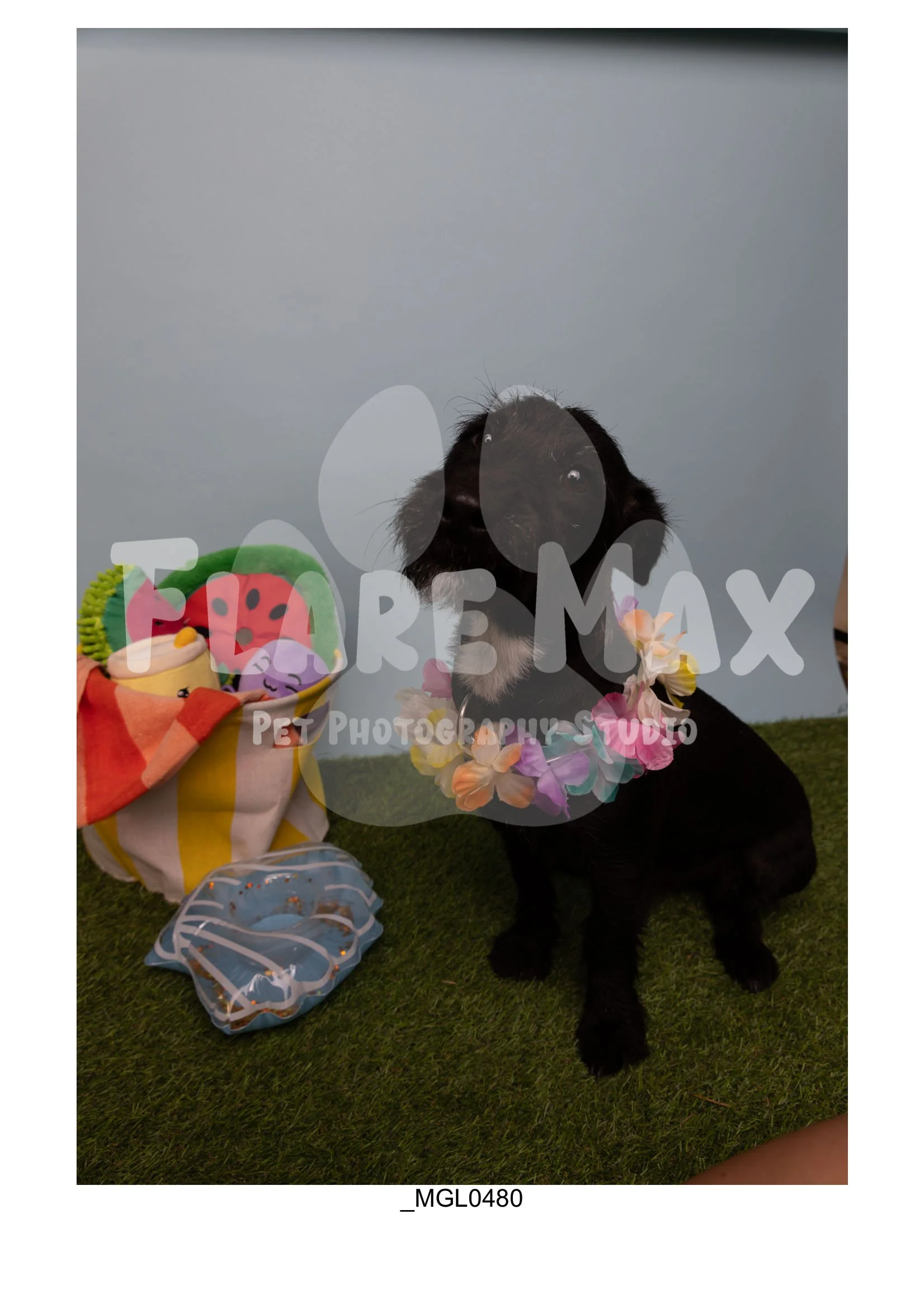 Doghouse gallery-015.jpg