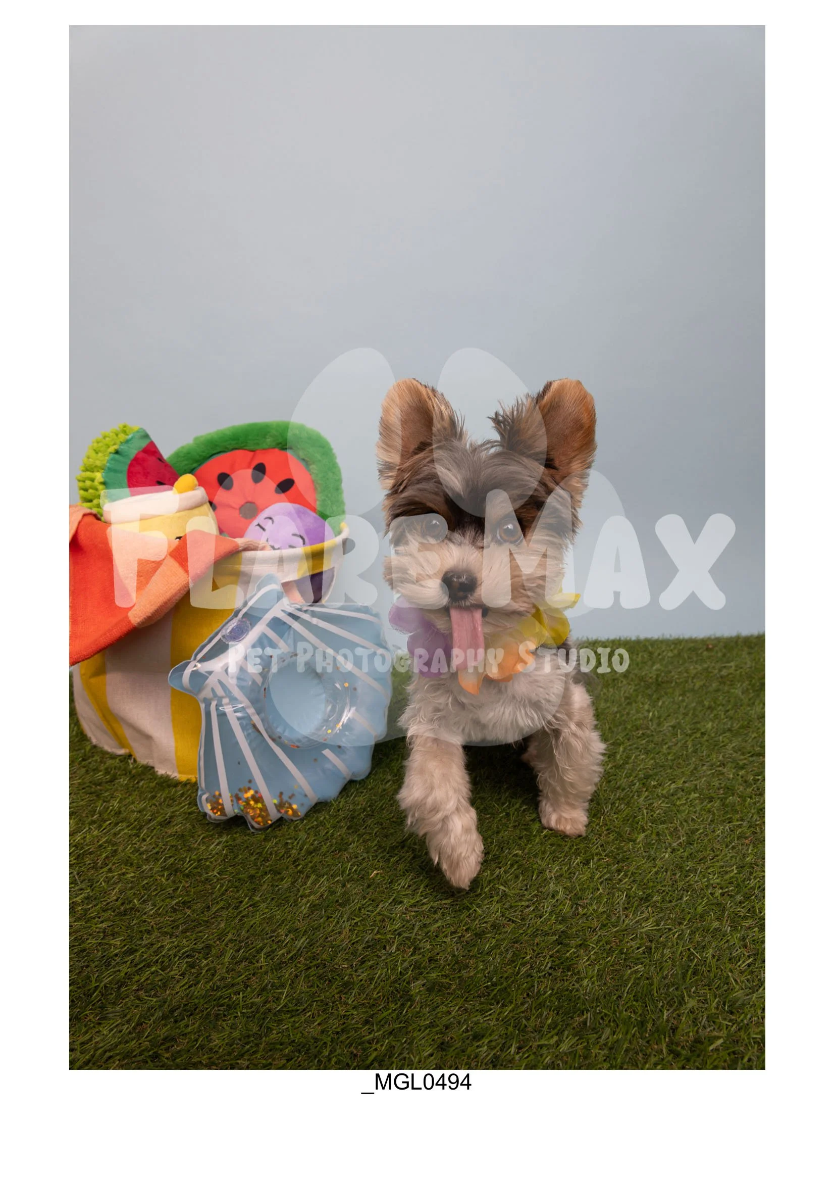 Doghouse gallery-017.jpg