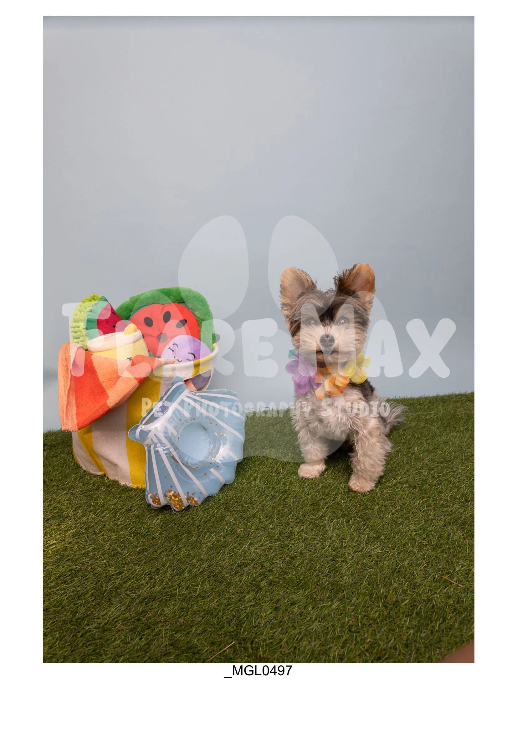 Doghouse gallery-018.jpg