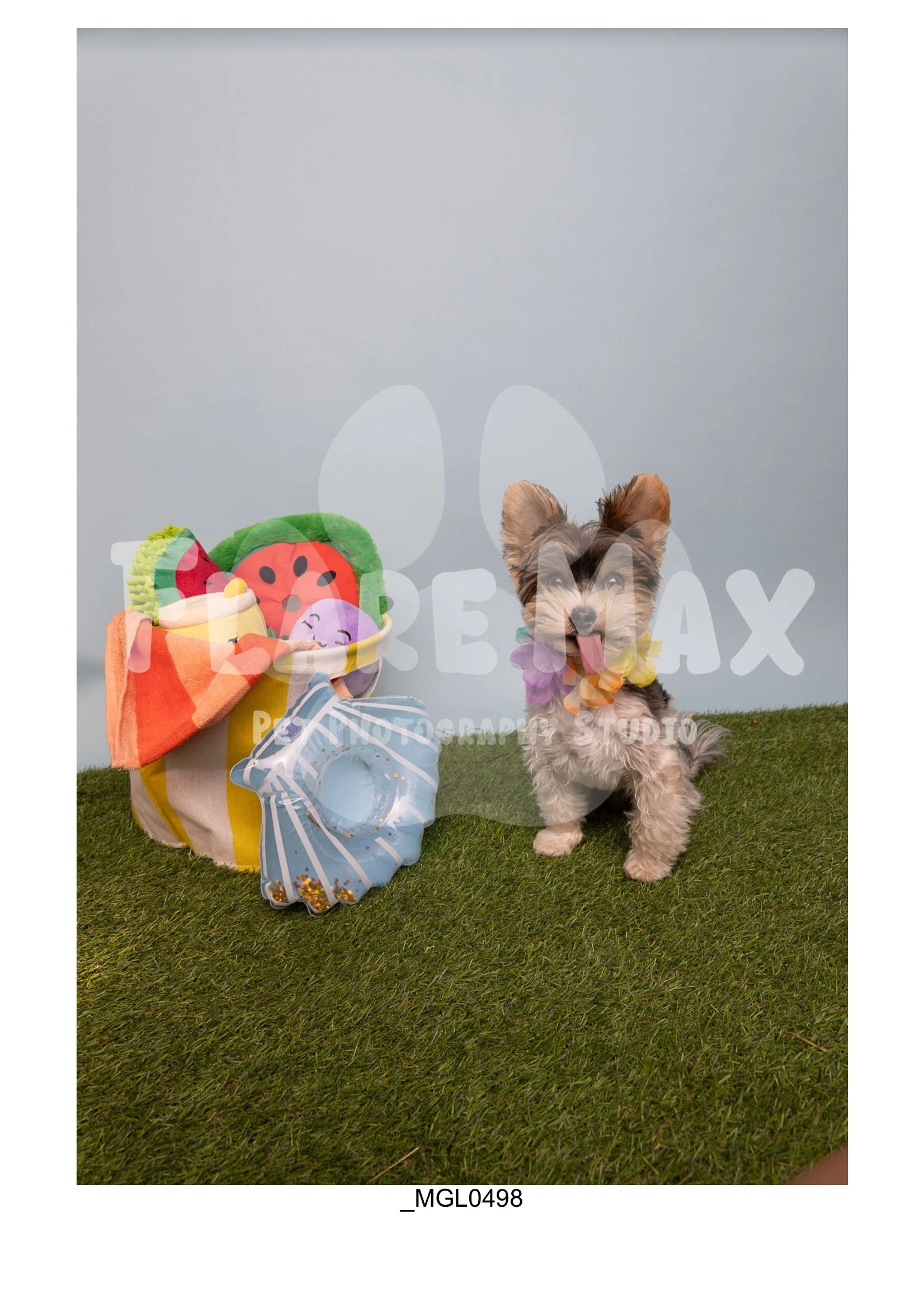 Doghouse gallery-019.jpg