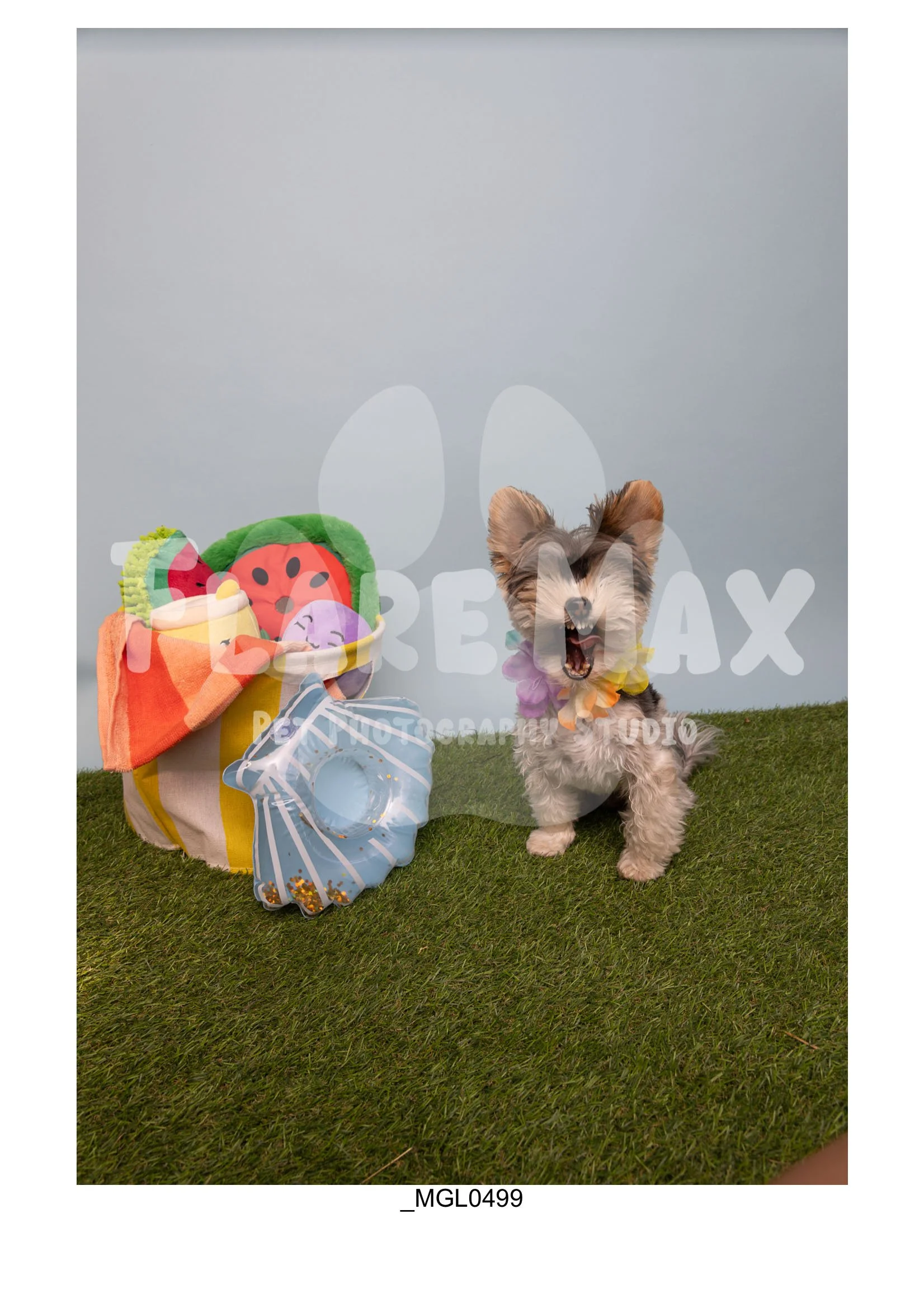 Doghouse gallery-020.jpg