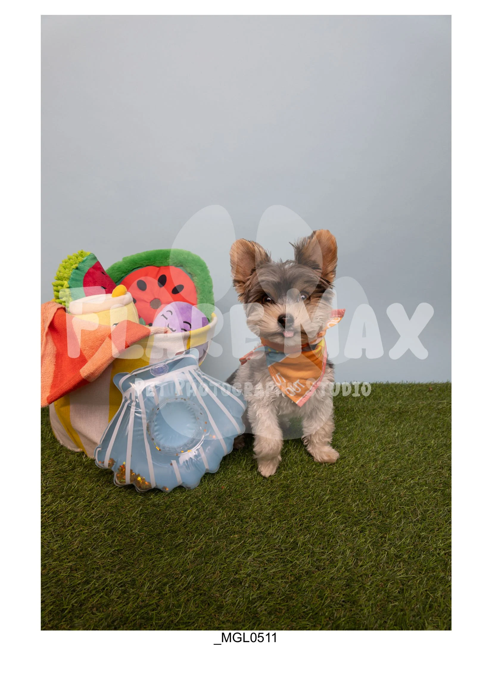 Doghouse gallery-021.jpg