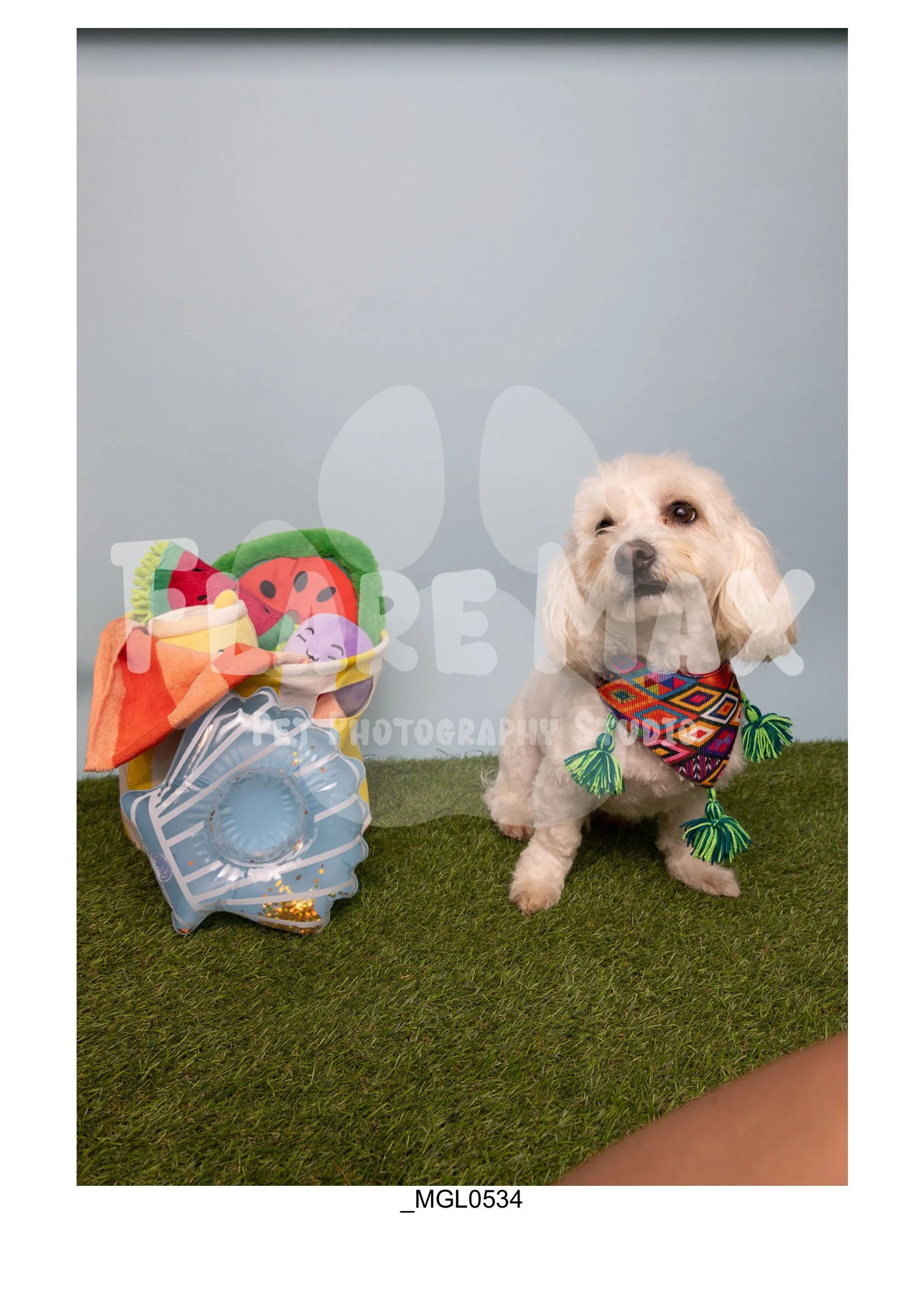 Doghouse gallery-022.jpg