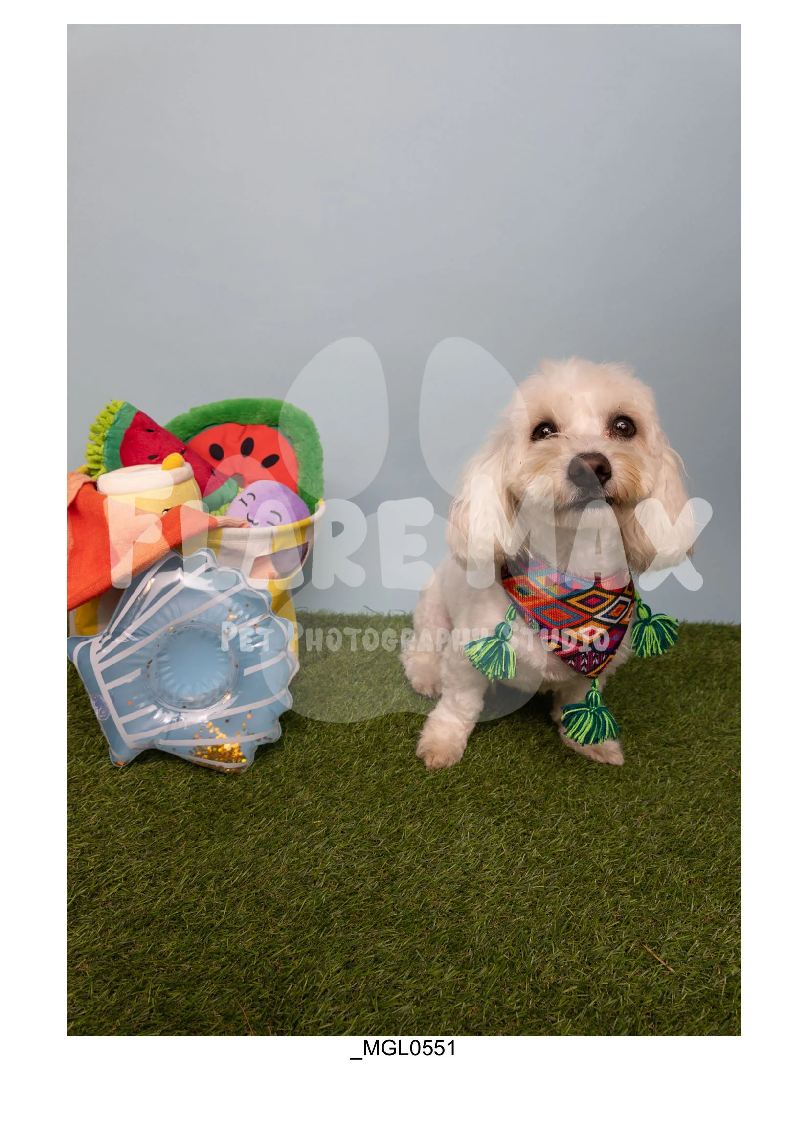 Doghouse gallery-023.jpg
