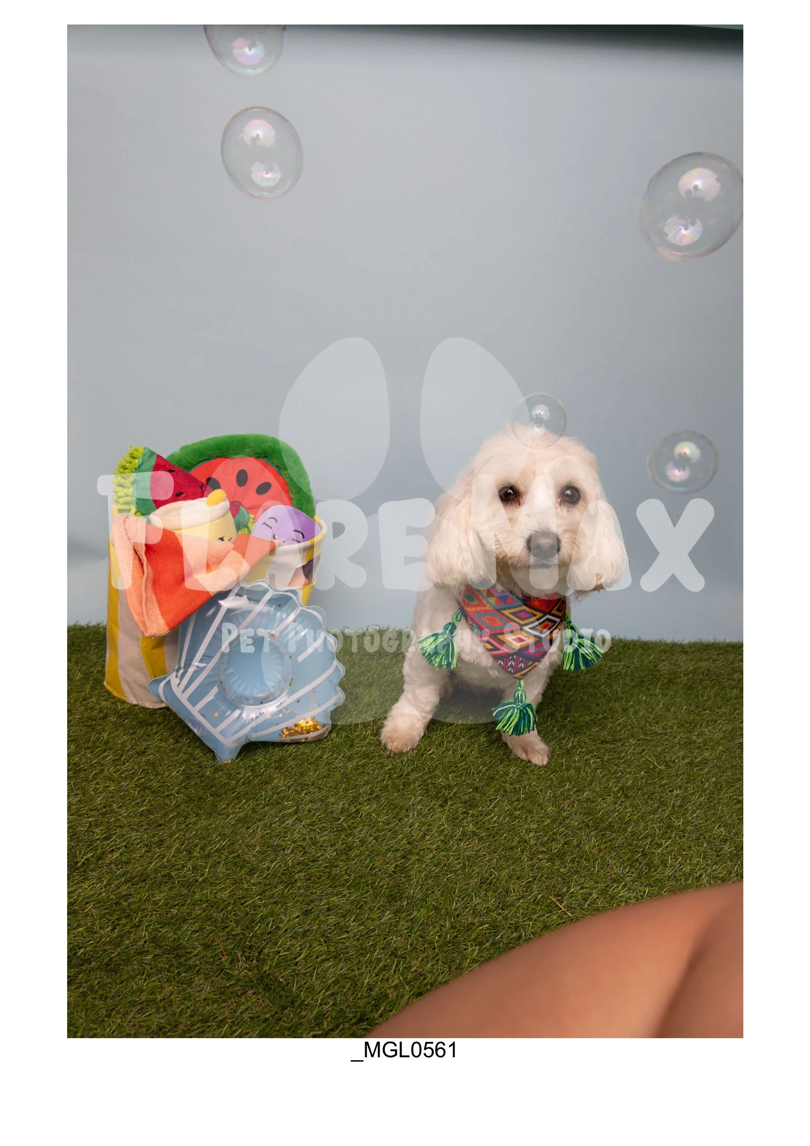 Doghouse gallery-024.jpg