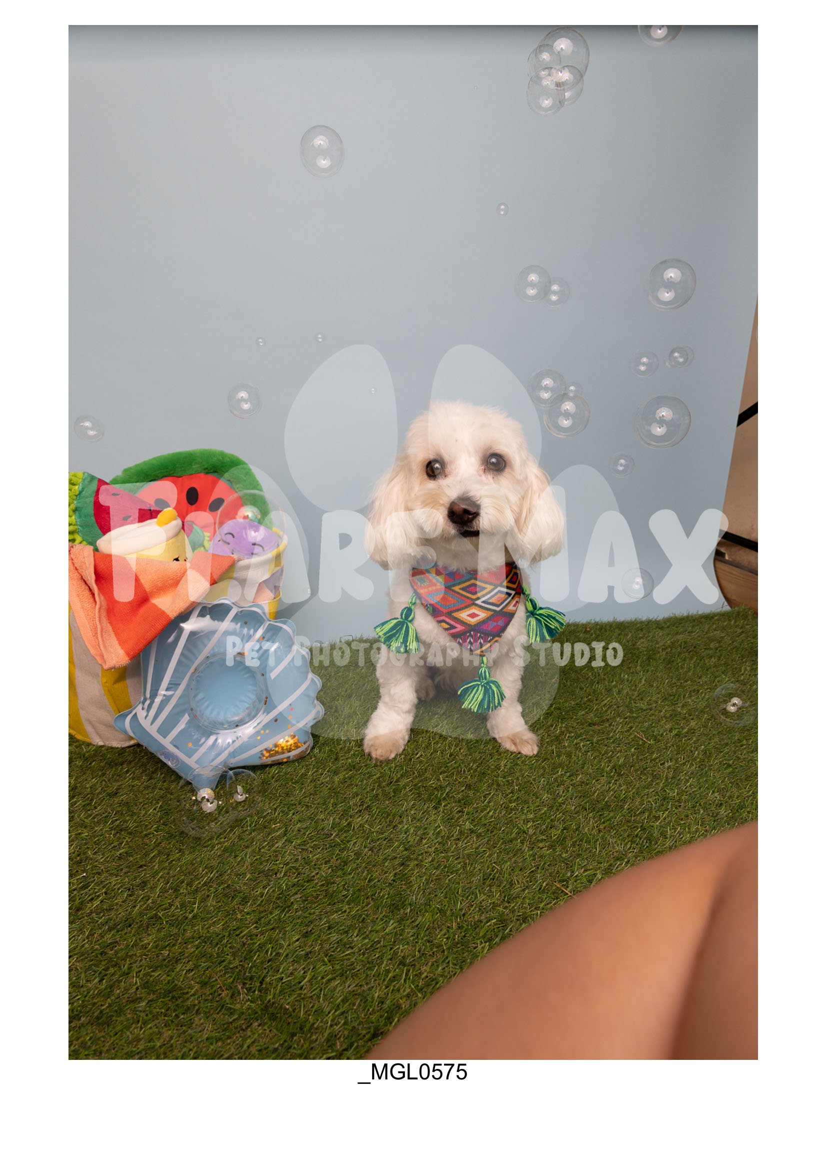 Doghouse gallery-025.jpg