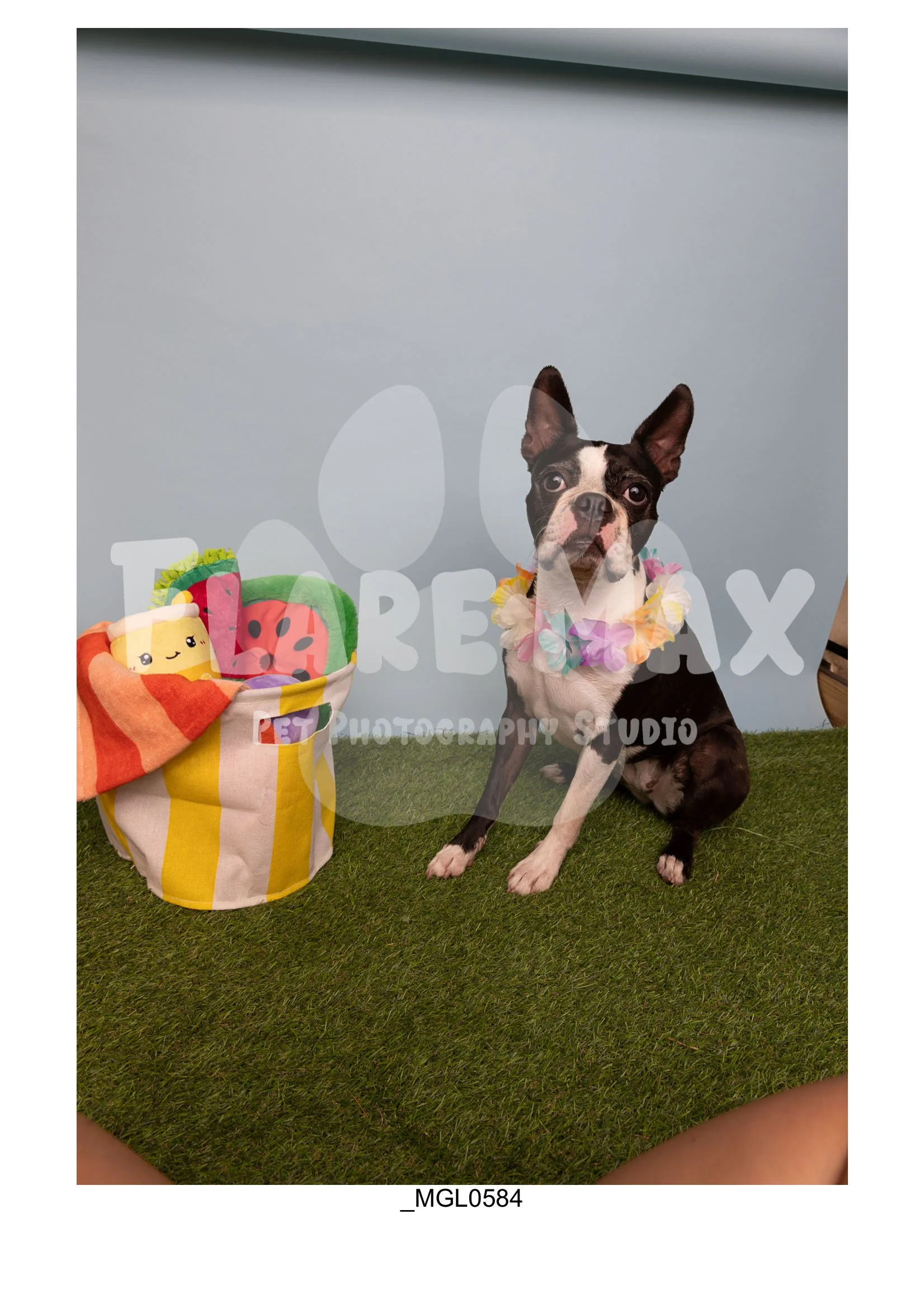 Doghouse gallery-026.jpg