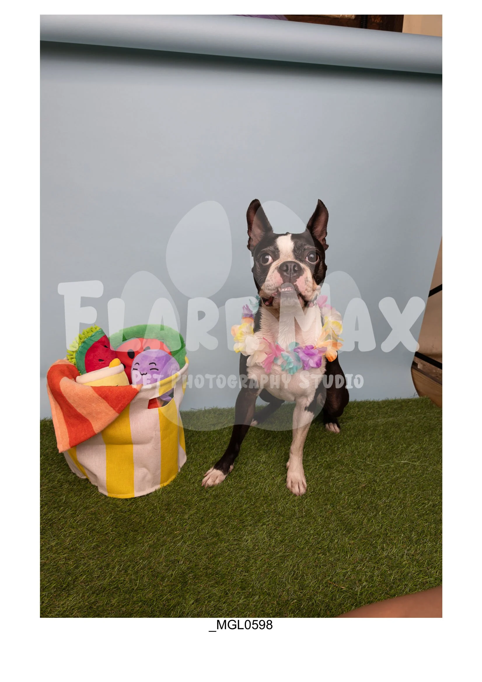 Doghouse gallery-027.jpg