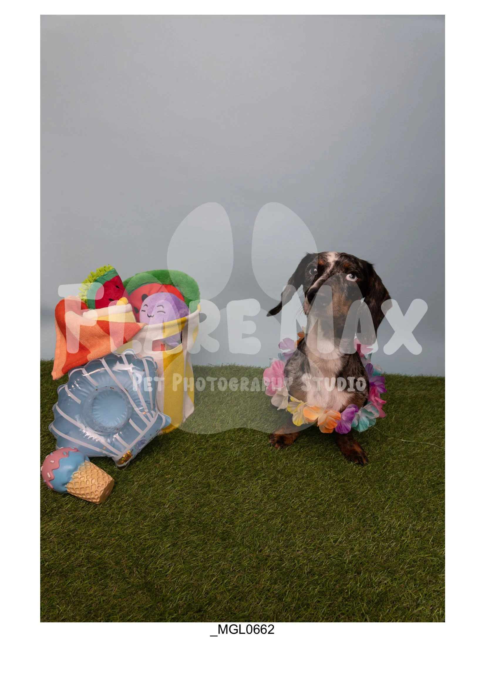 Doghouse gallery-030.jpg
