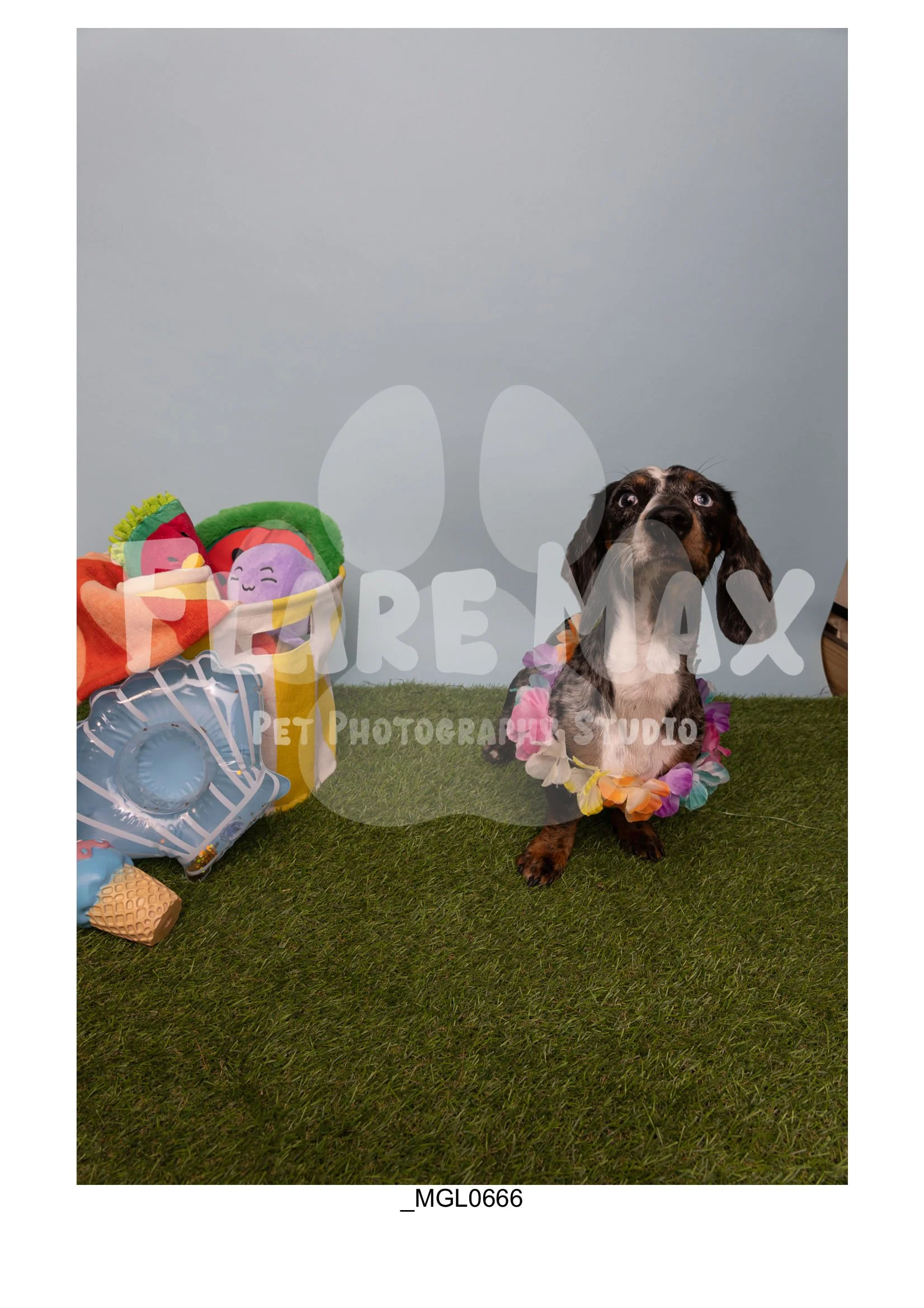 Doghouse gallery-031.jpg