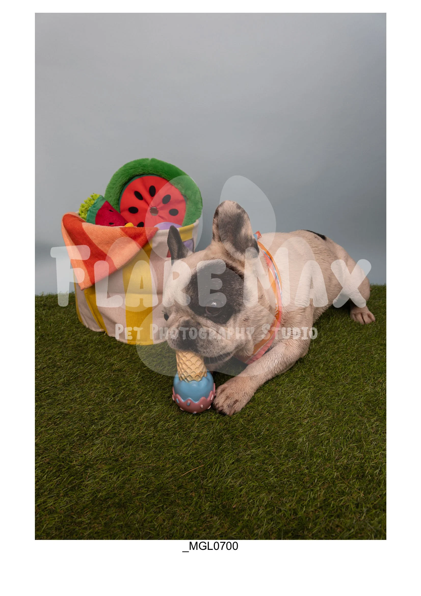 Doghouse gallery-032.jpg