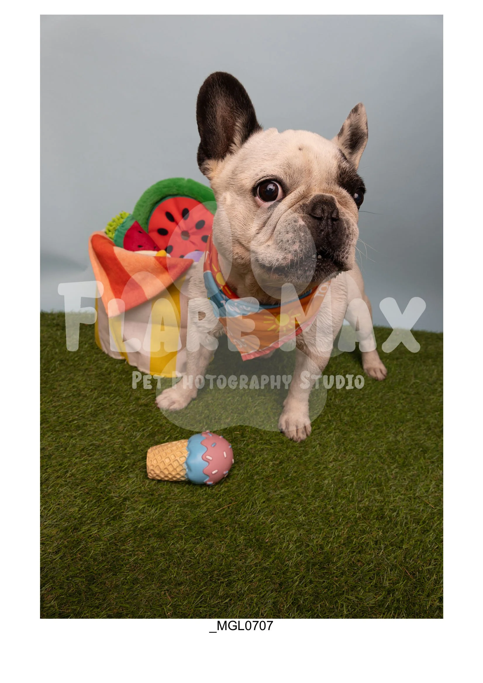 Doghouse gallery-033.jpg