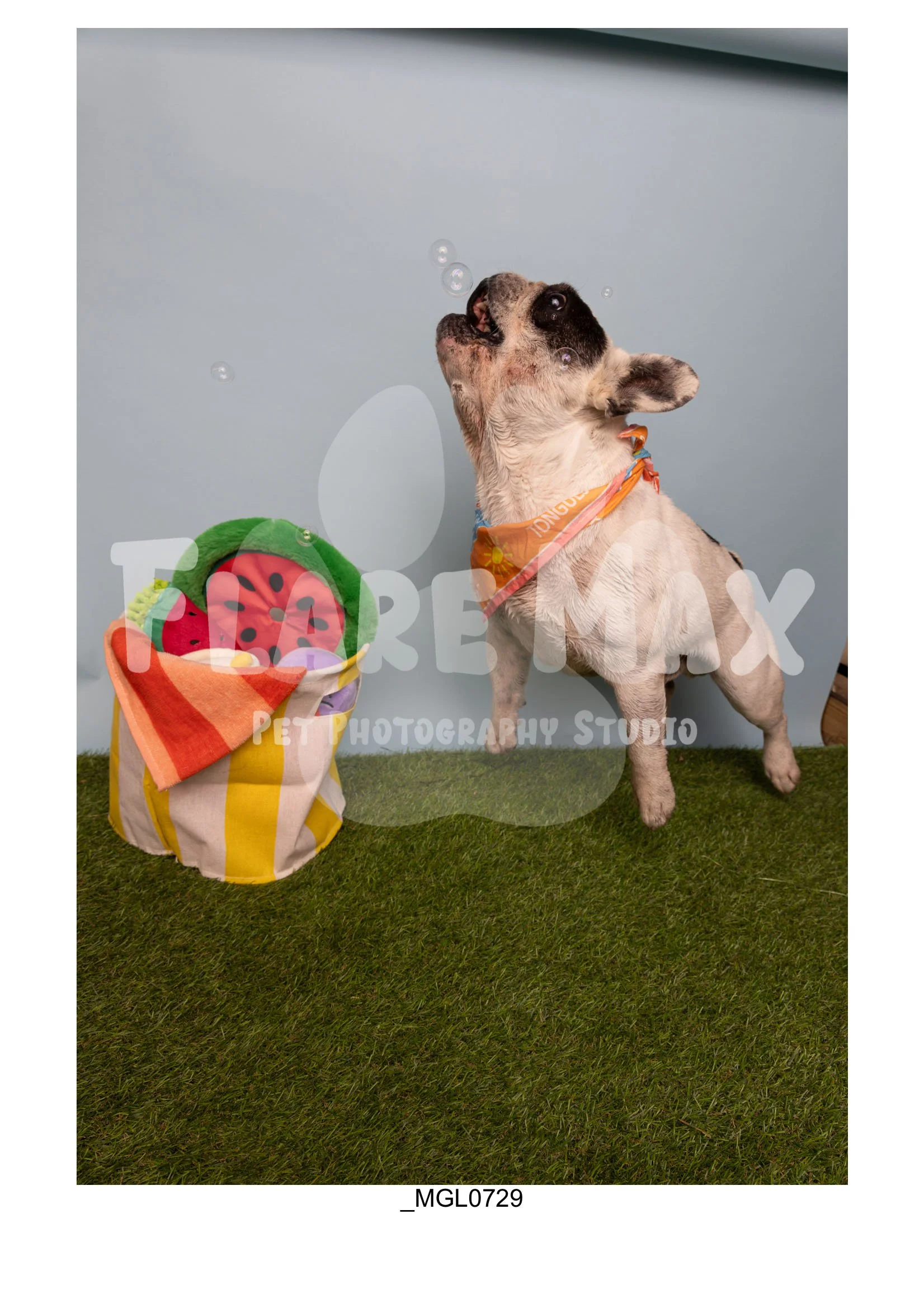 Doghouse gallery-034.jpg