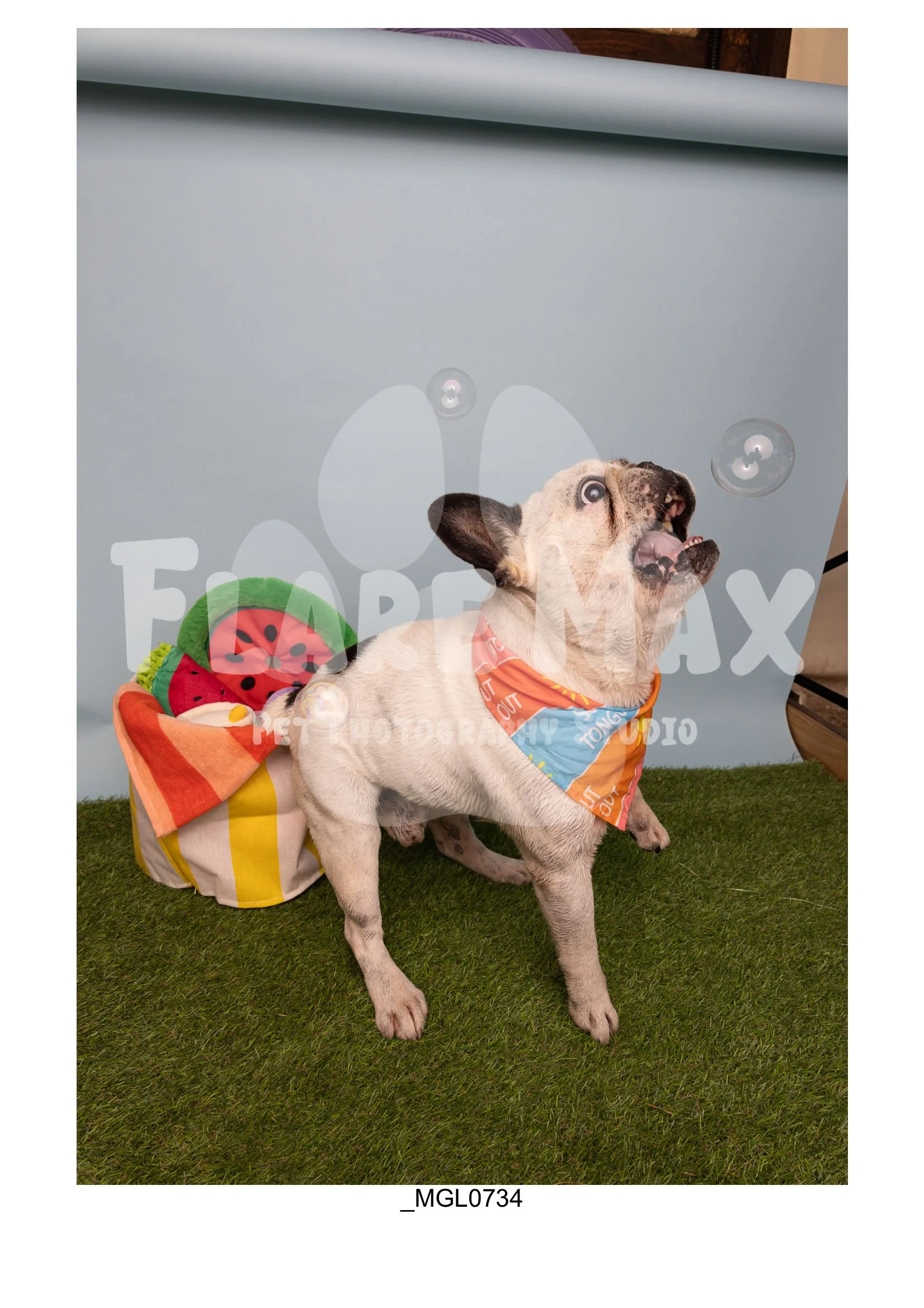 Doghouse gallery-035.jpg