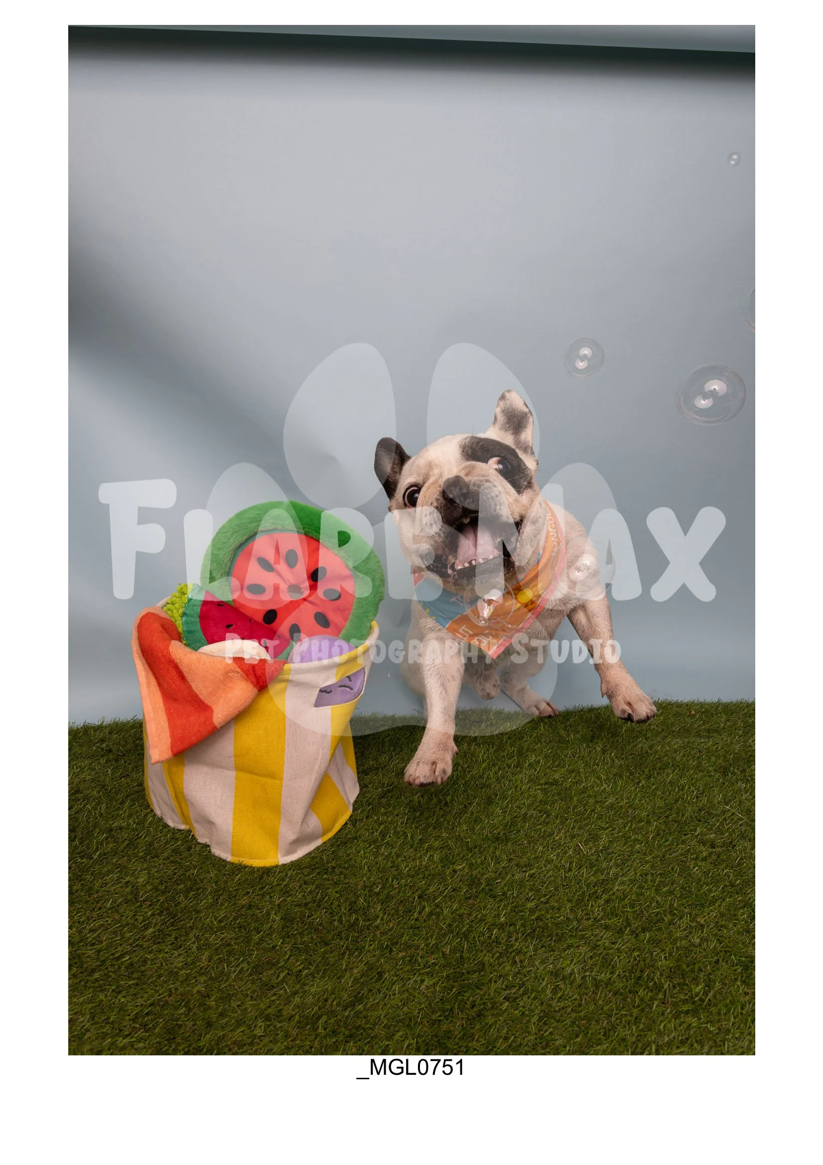 Doghouse gallery-036.jpg