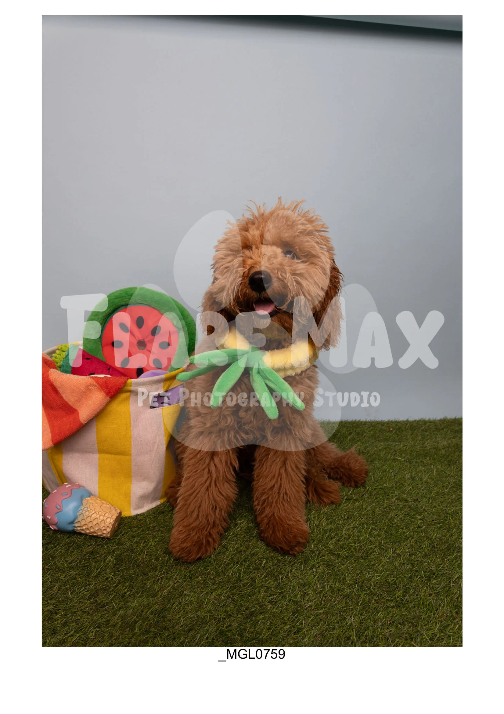 Doghouse gallery-037.jpg