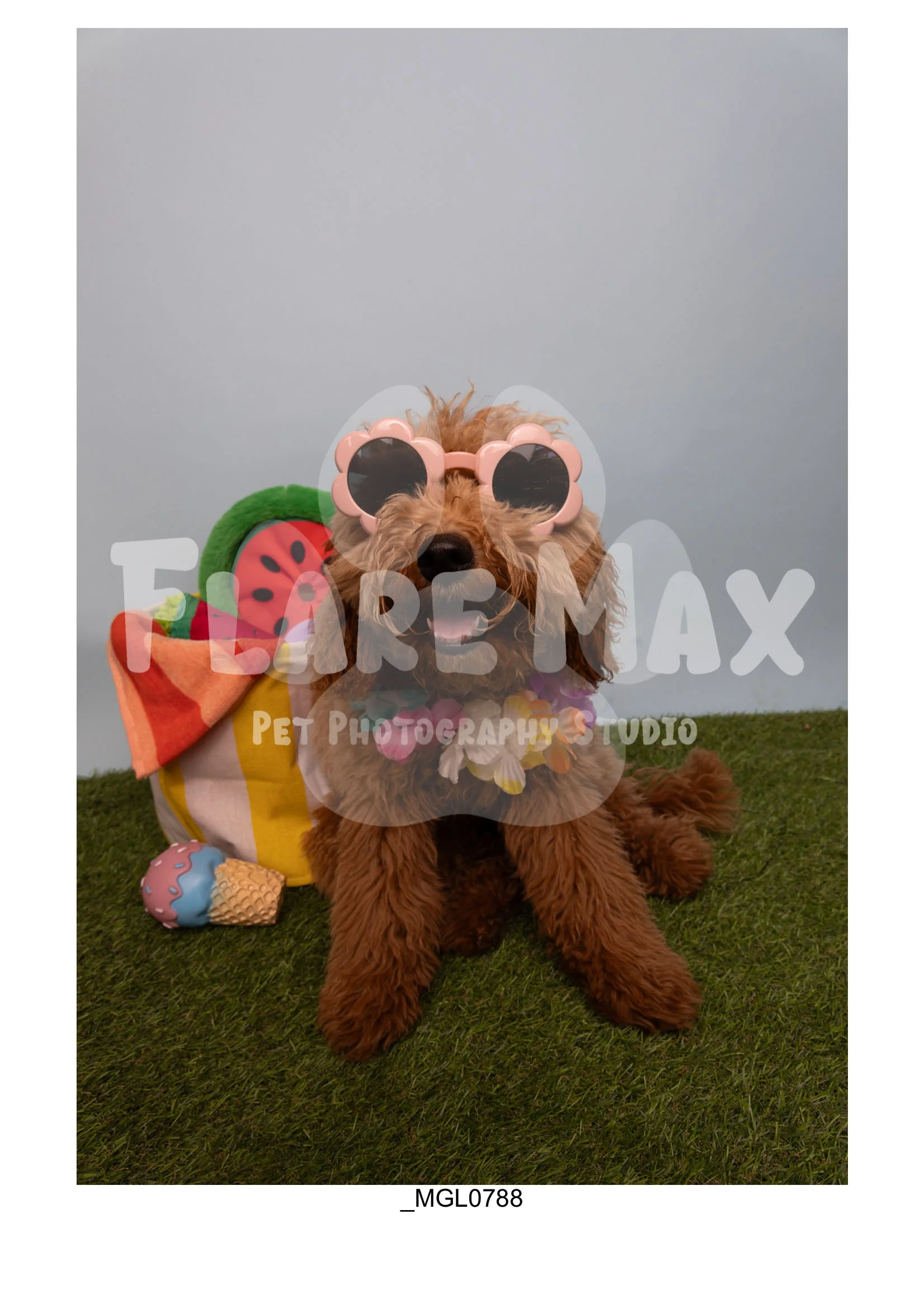 Doghouse gallery-038.jpg
