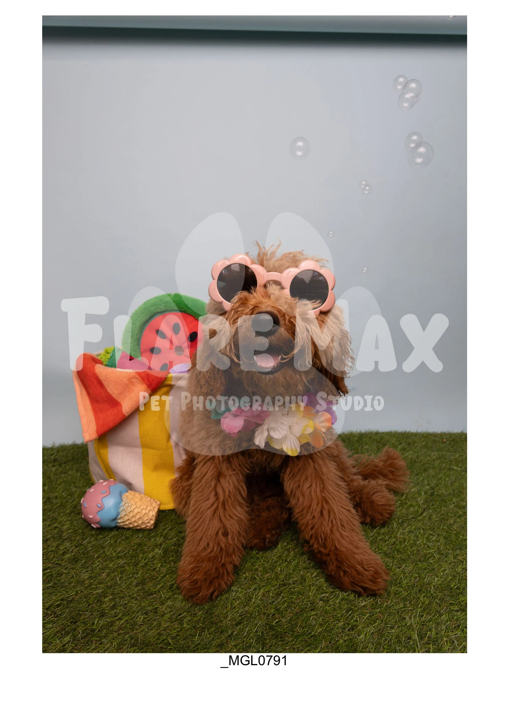 Doghouse gallery-039.jpg