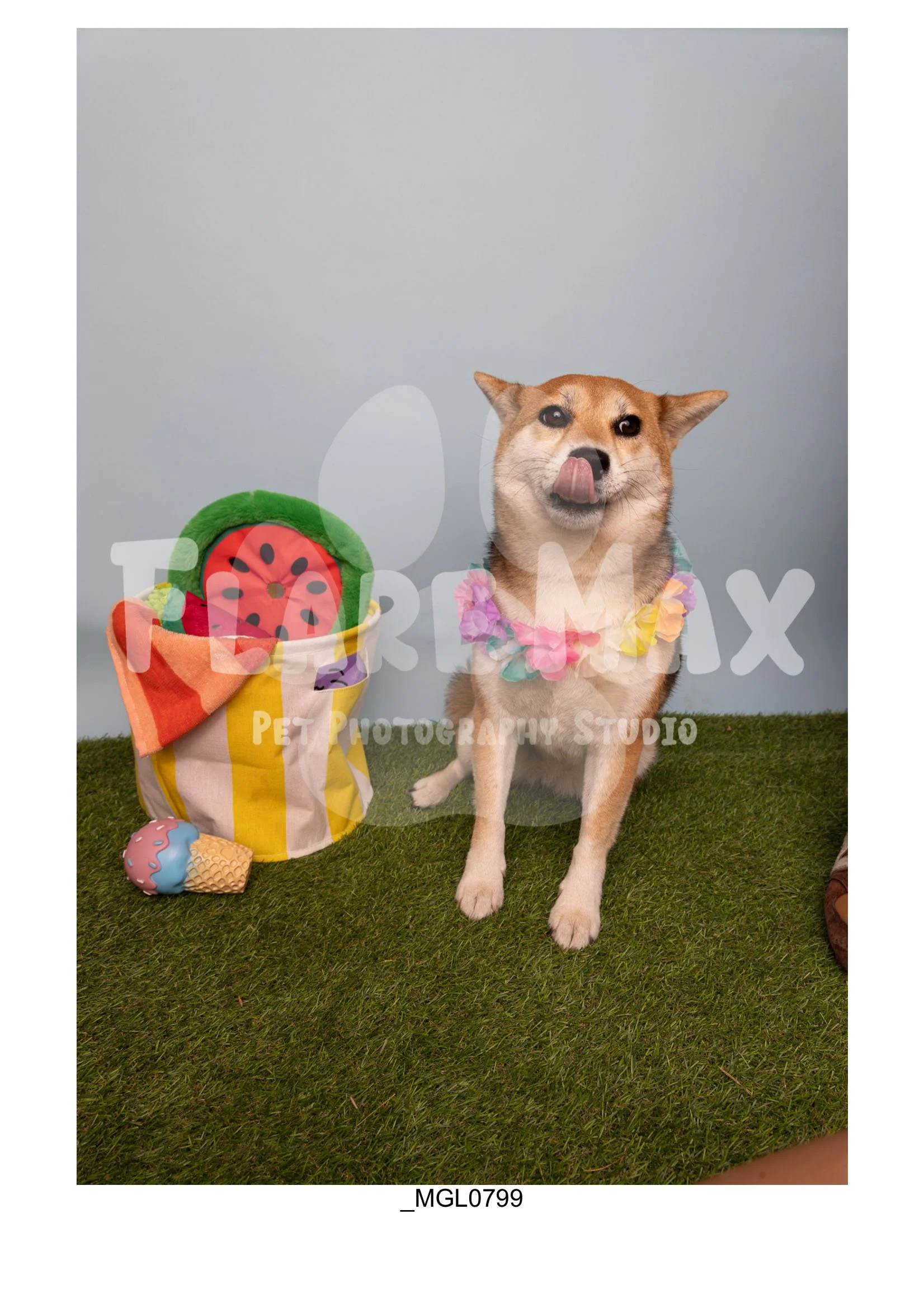 Doghouse gallery-040.jpg