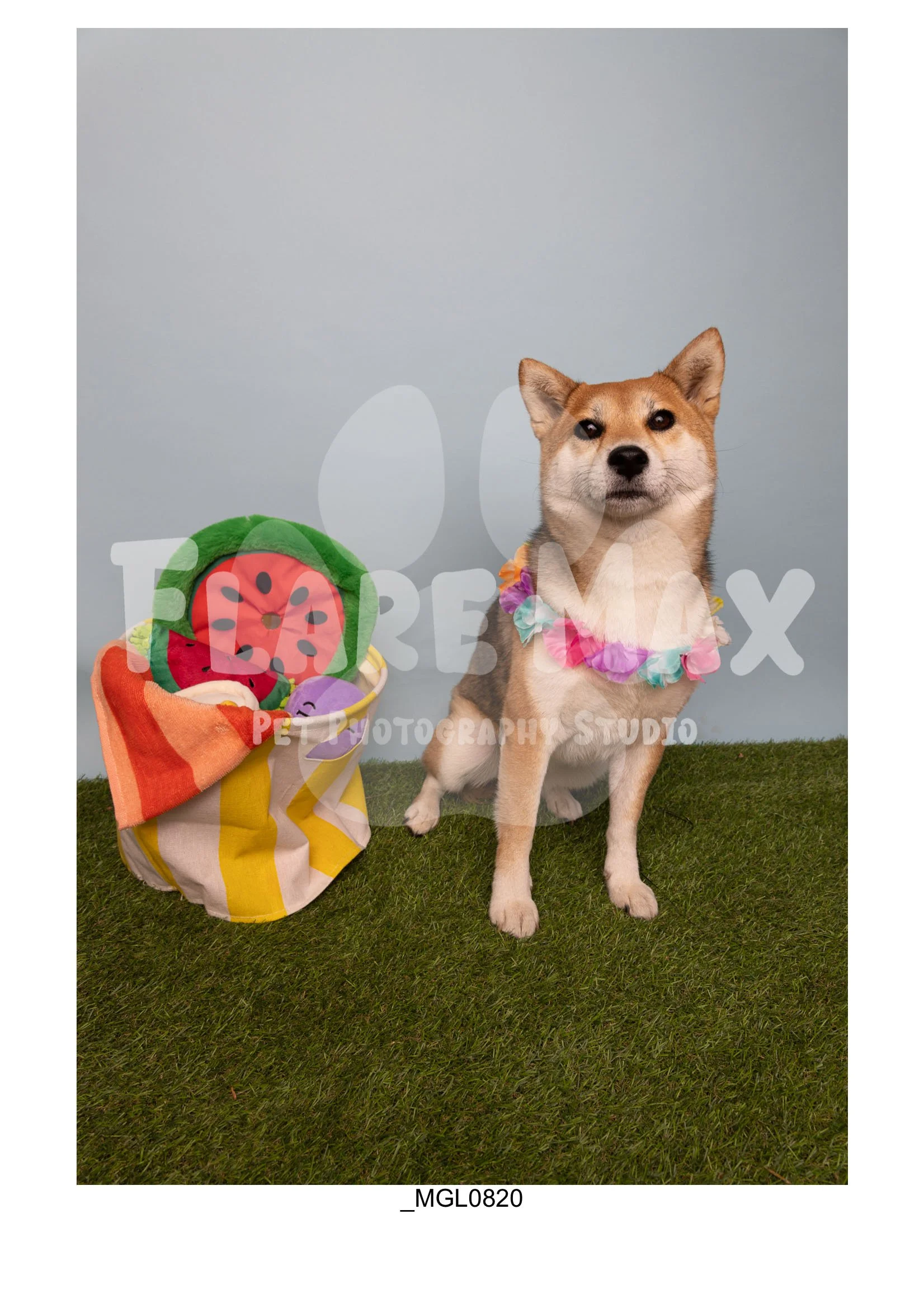 Doghouse gallery-042.jpg