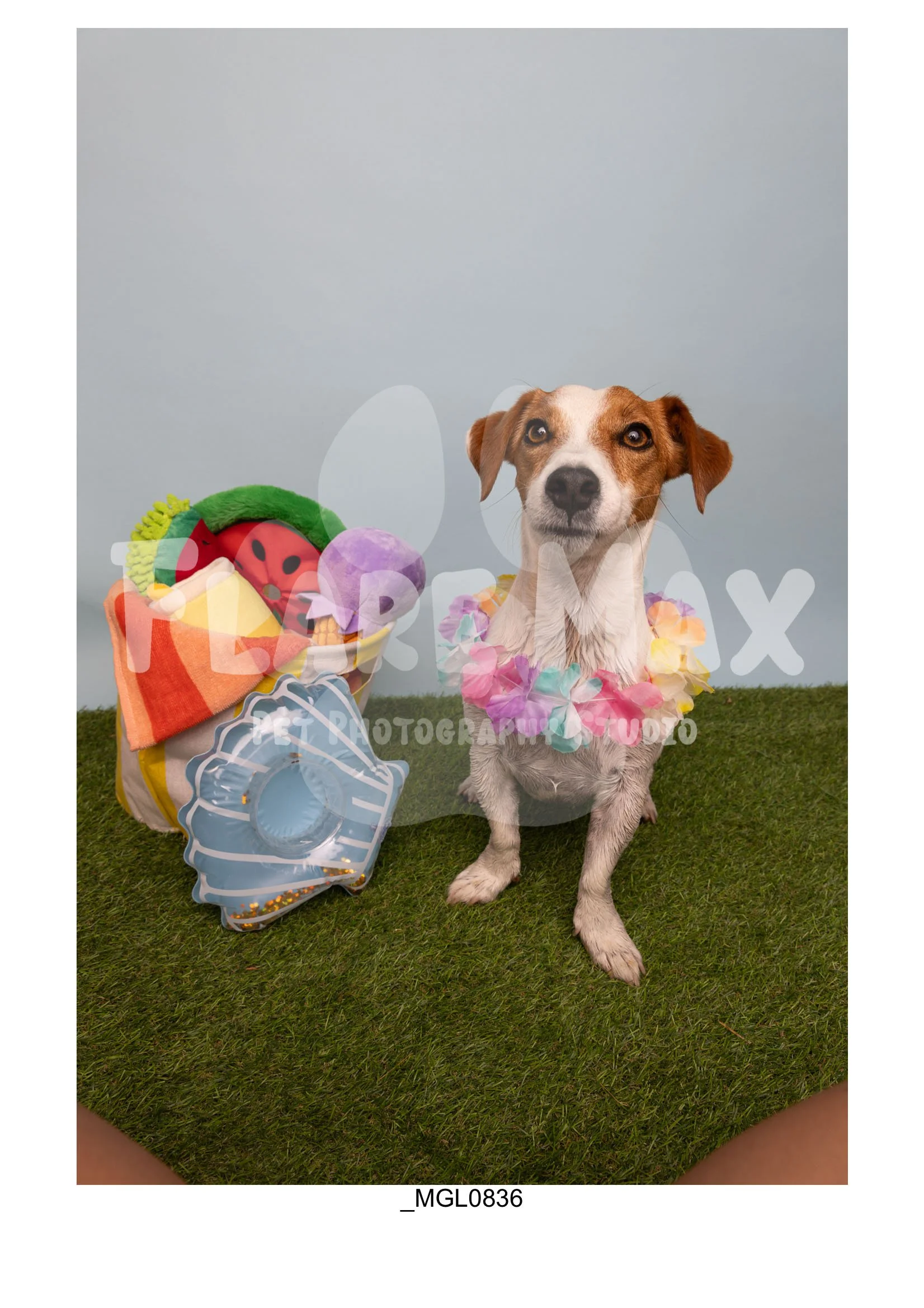 Doghouse gallery-043.jpg