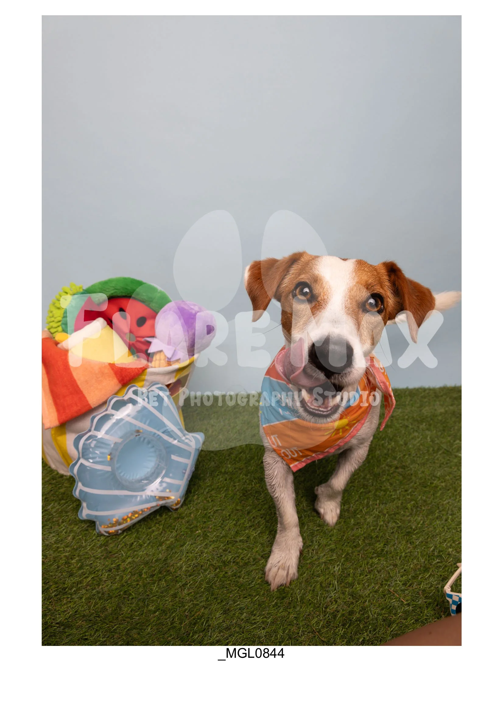 Doghouse gallery-044.jpg