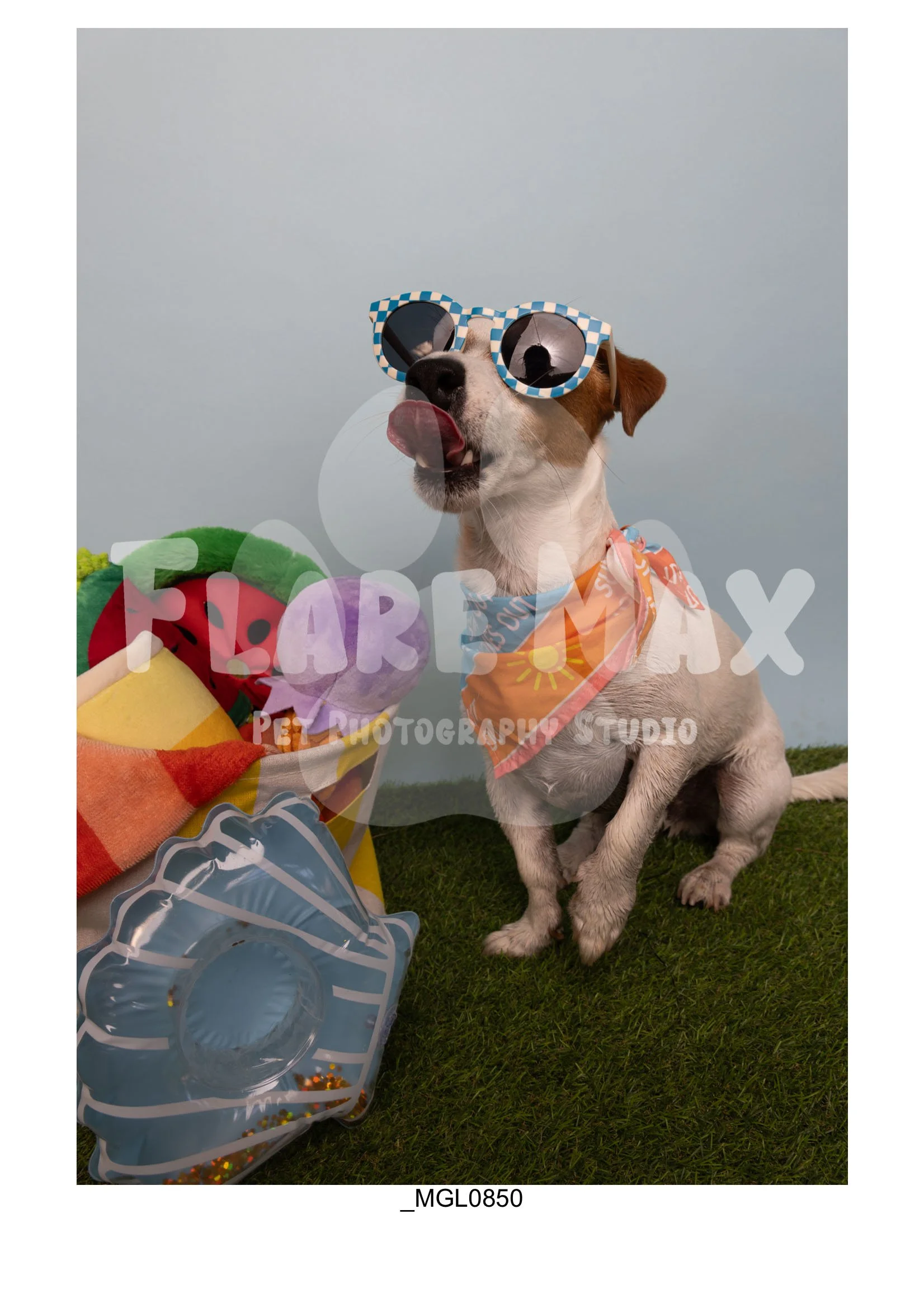 Doghouse gallery-045.jpg