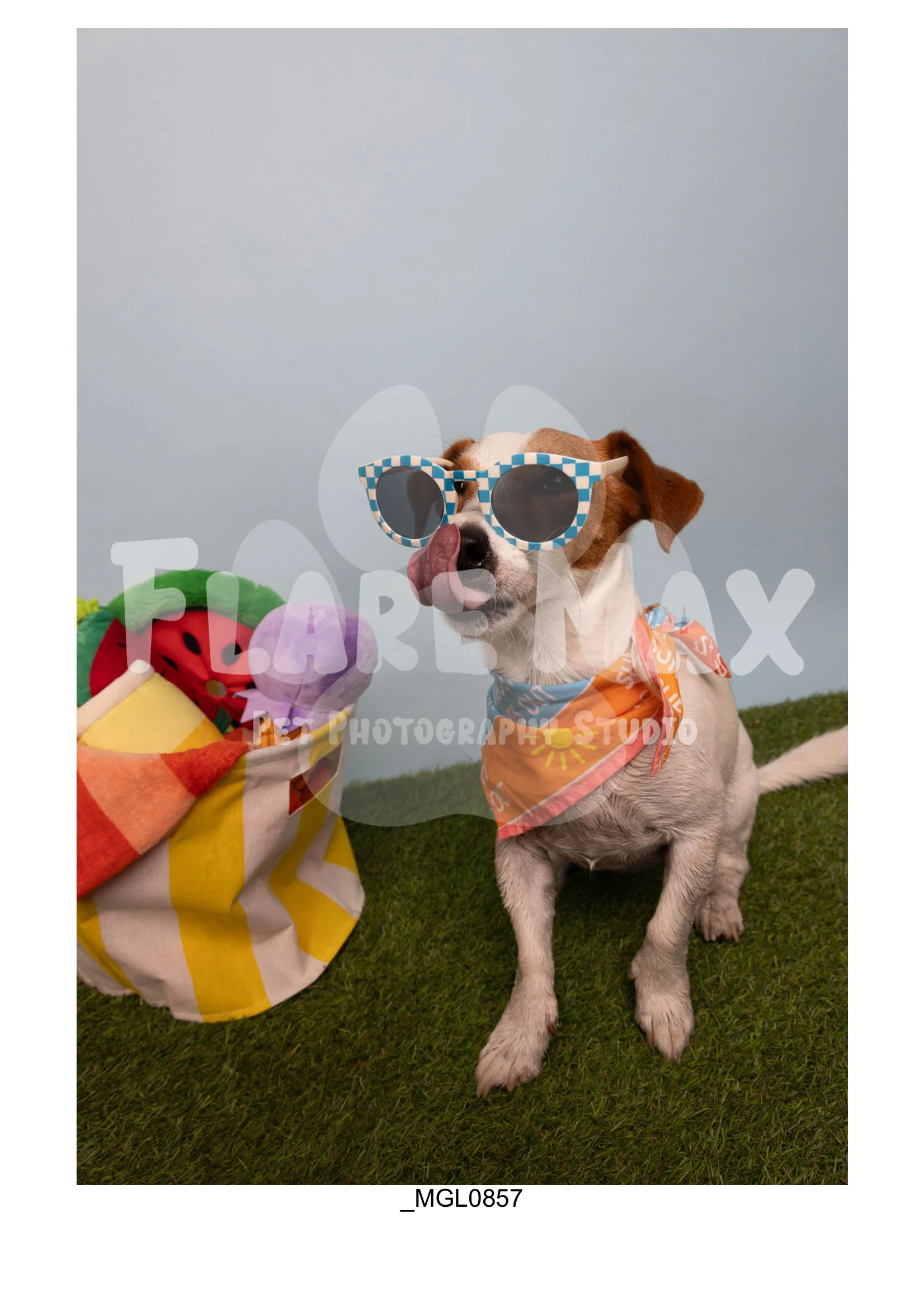 Doghouse gallery-046.jpg