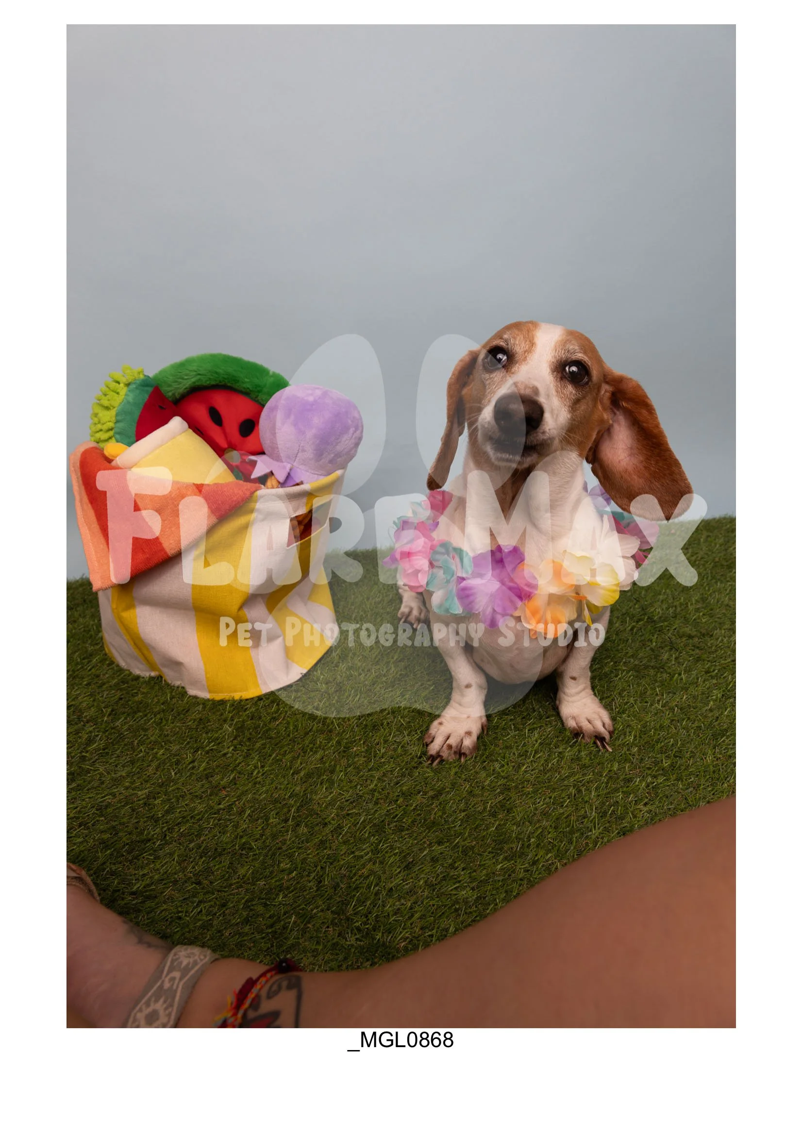 Doghouse gallery-047.jpg