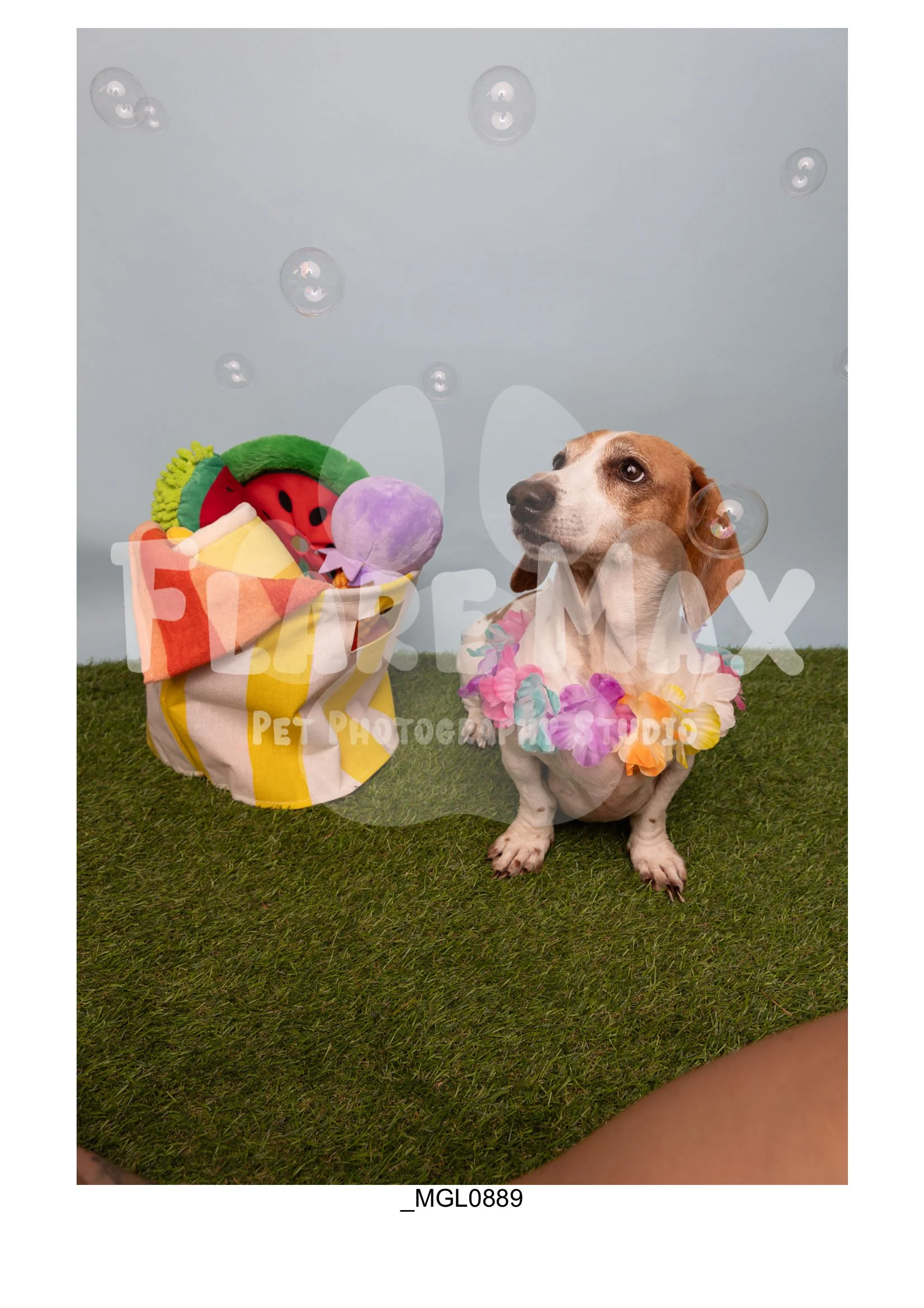 Doghouse gallery-048.jpg