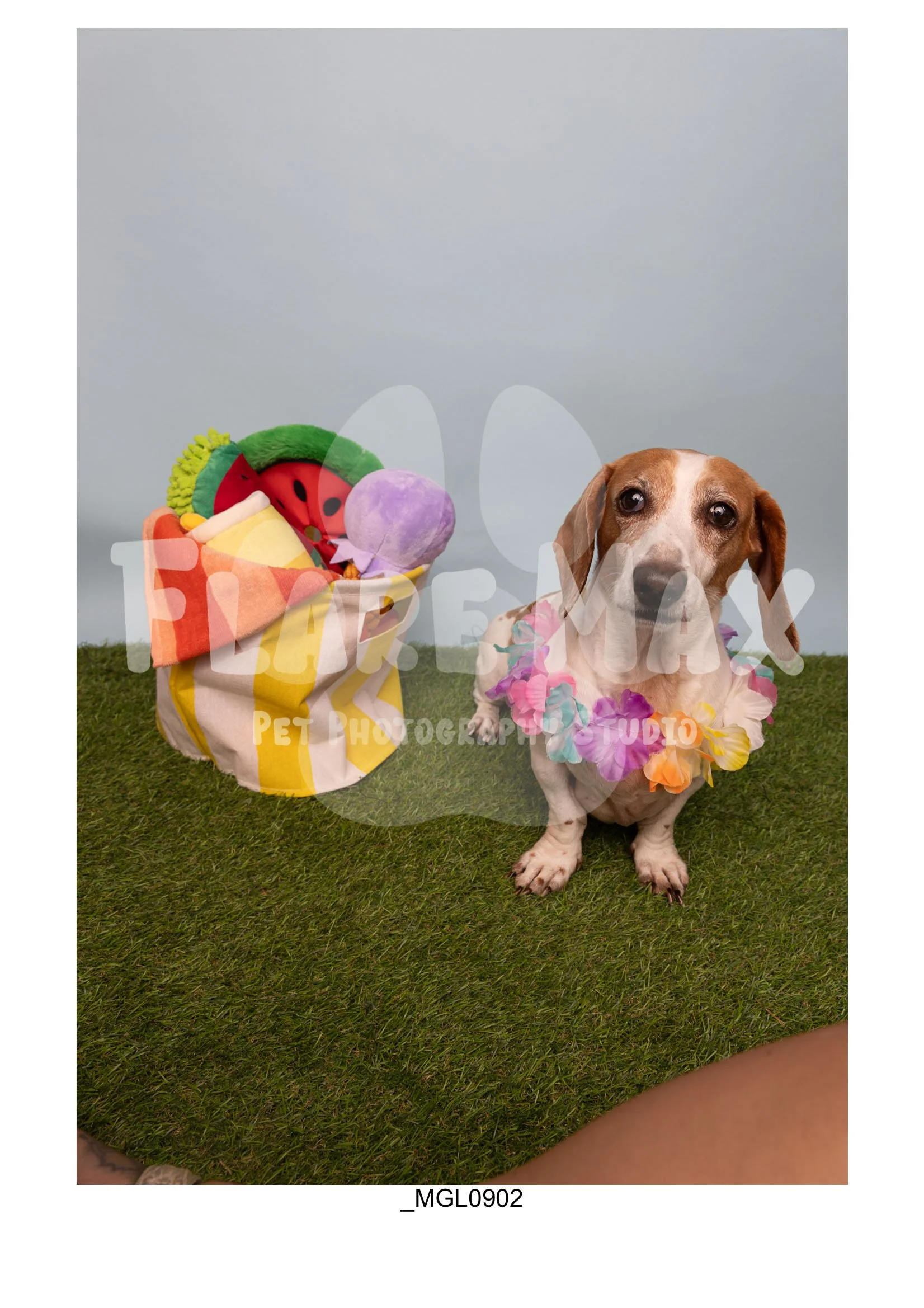 Doghouse gallery-049.jpg