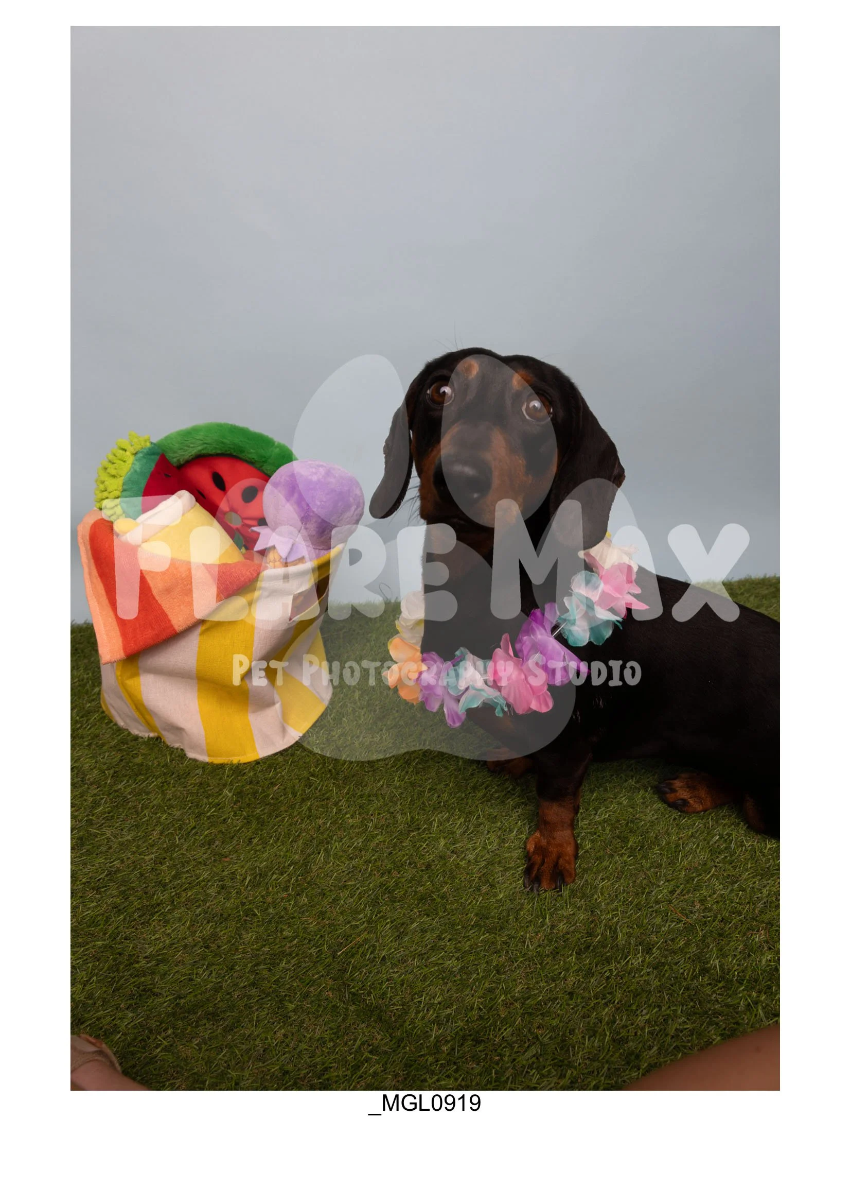 Doghouse gallery-050.jpg