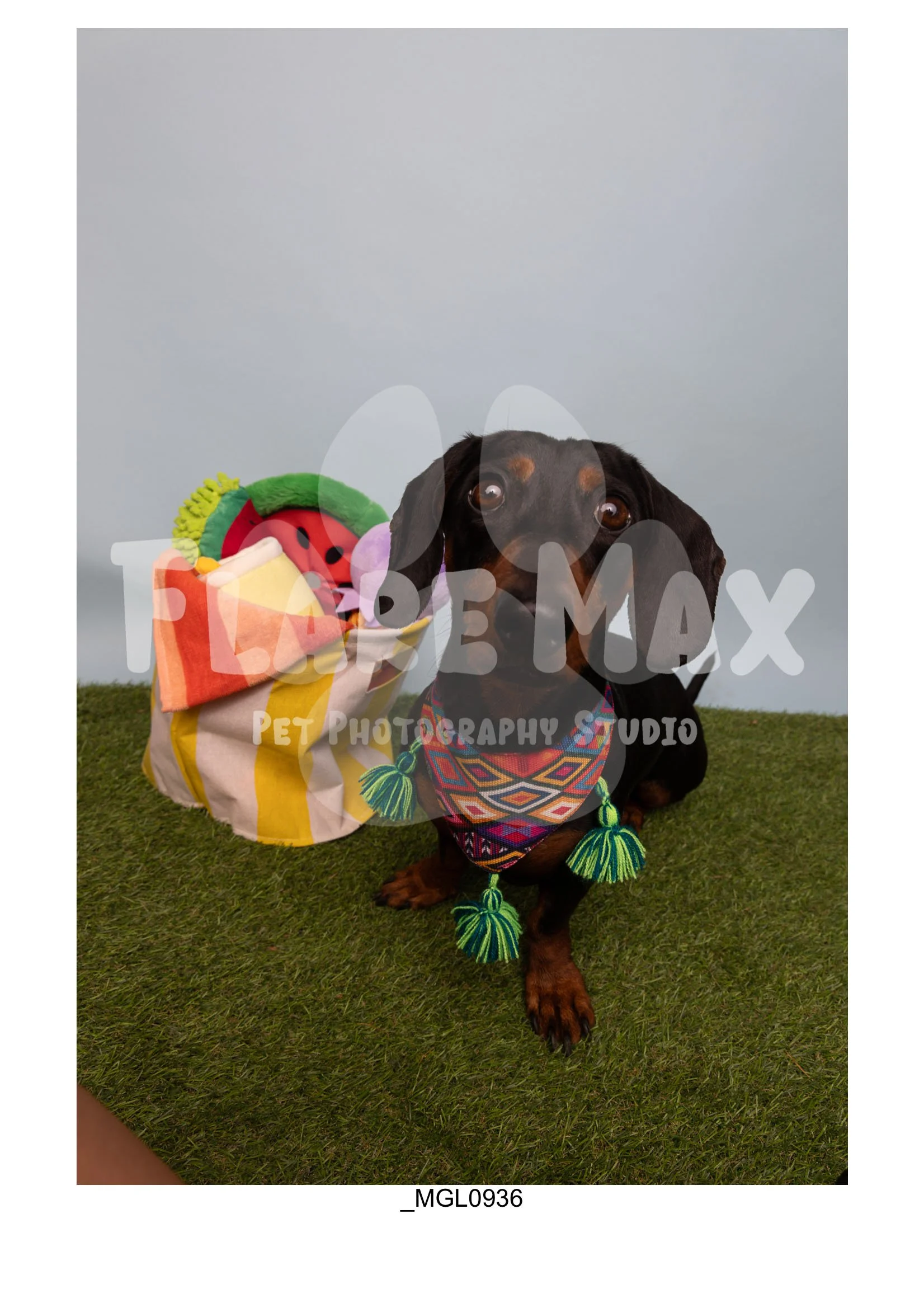 Doghouse gallery-051.jpg