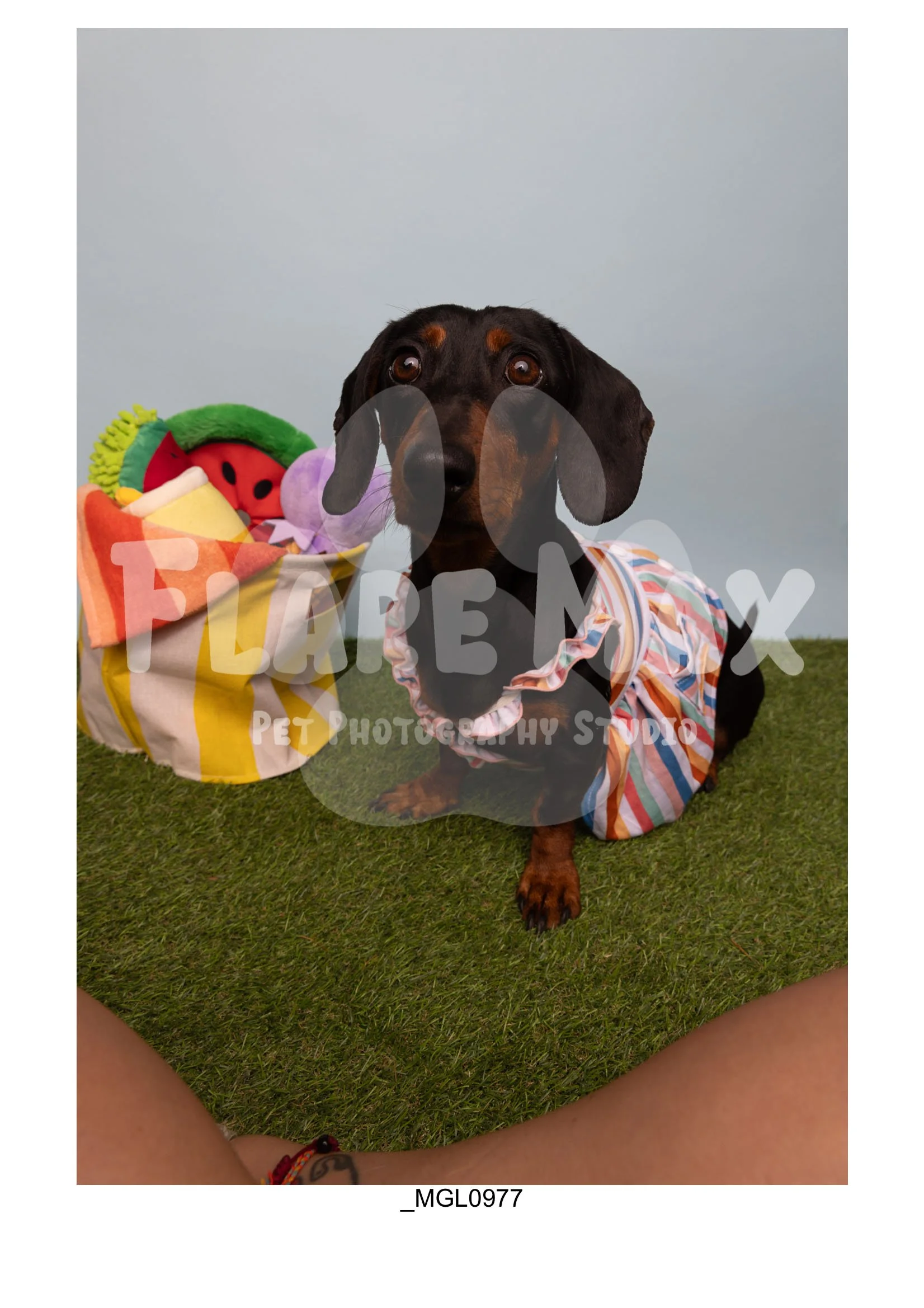 Doghouse gallery-054.jpg