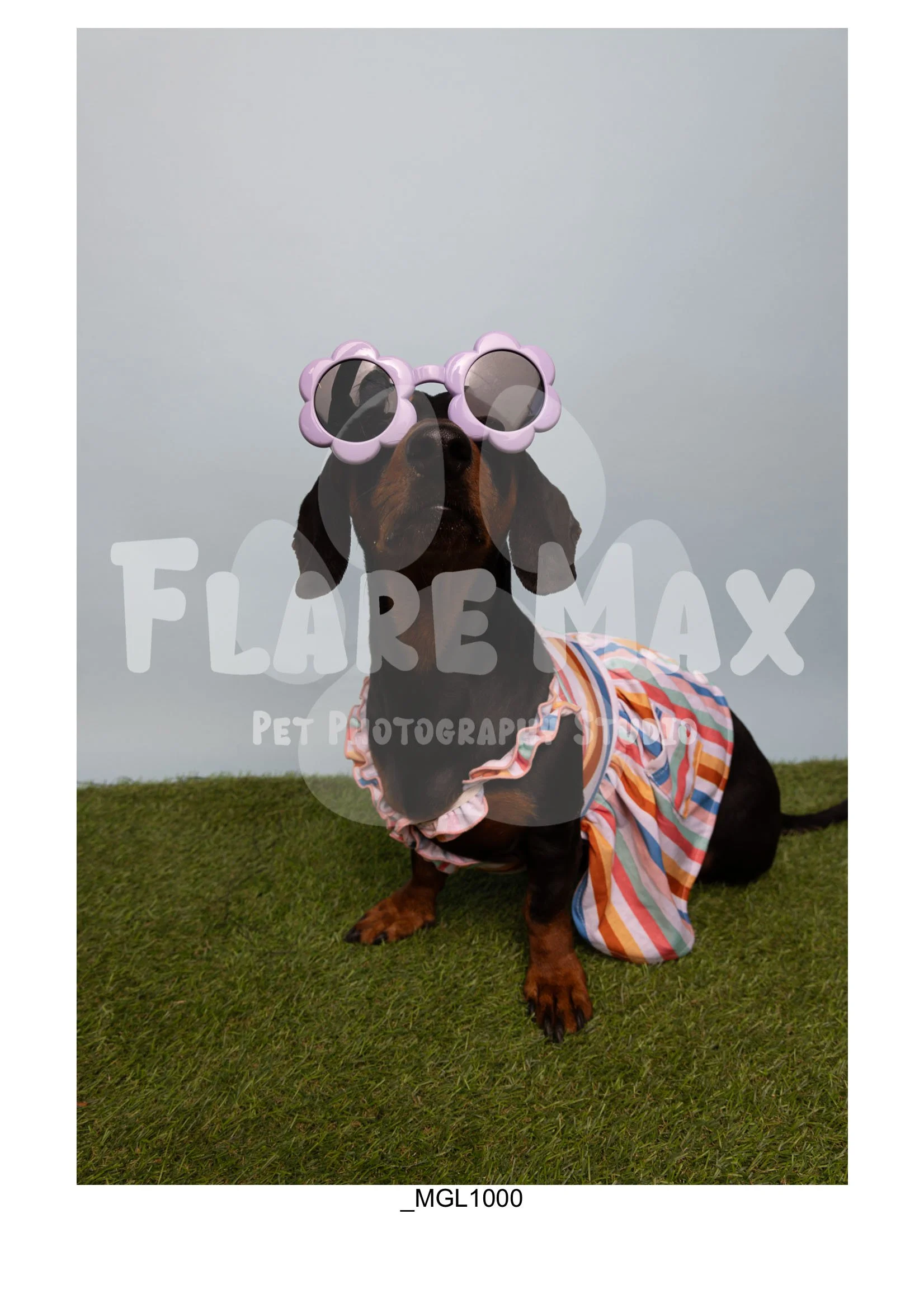 Doghouse gallery-055.jpg