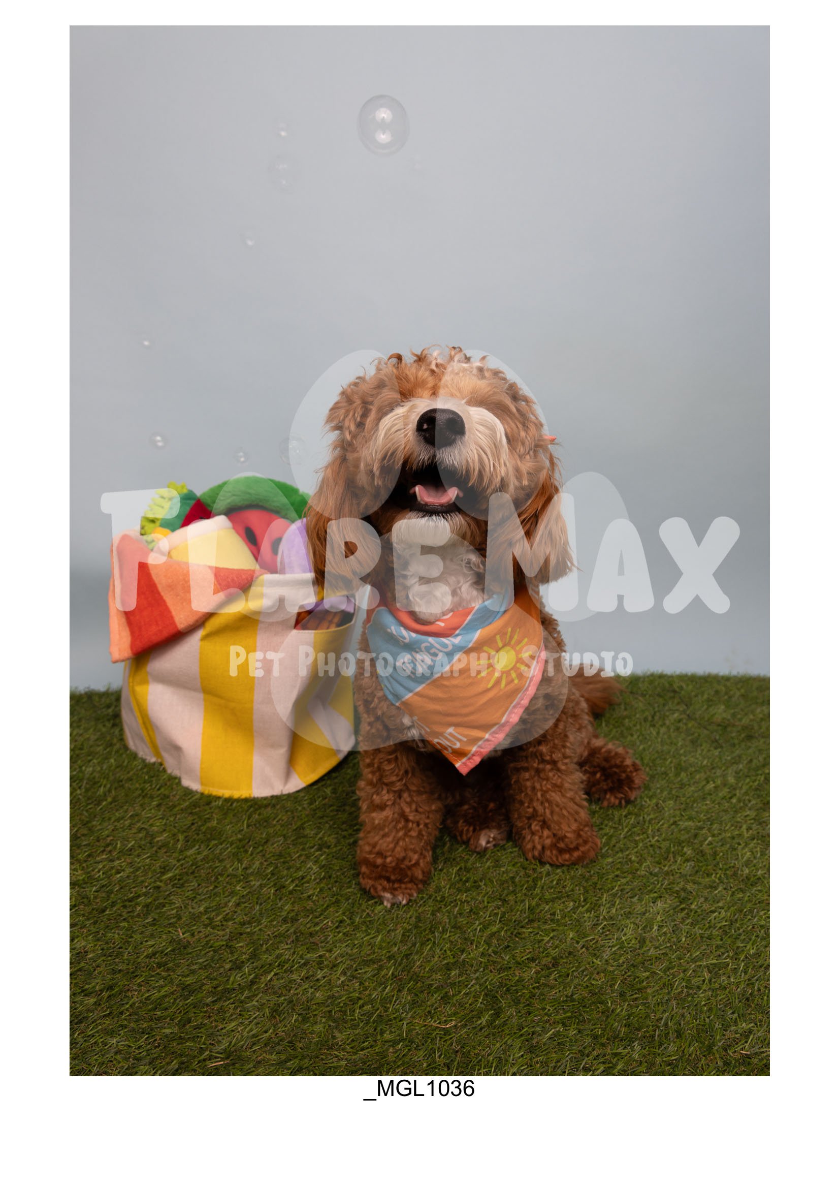 Doghouse gallery-057.jpg