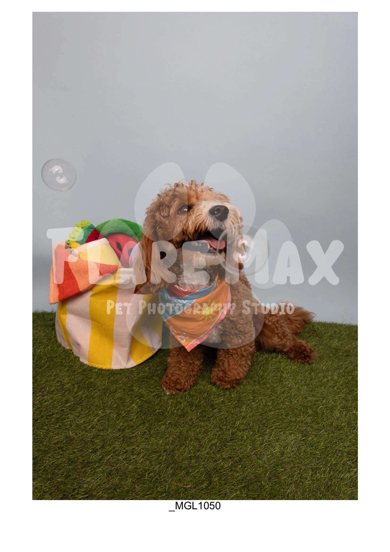 Doghouse gallery-058.jpg