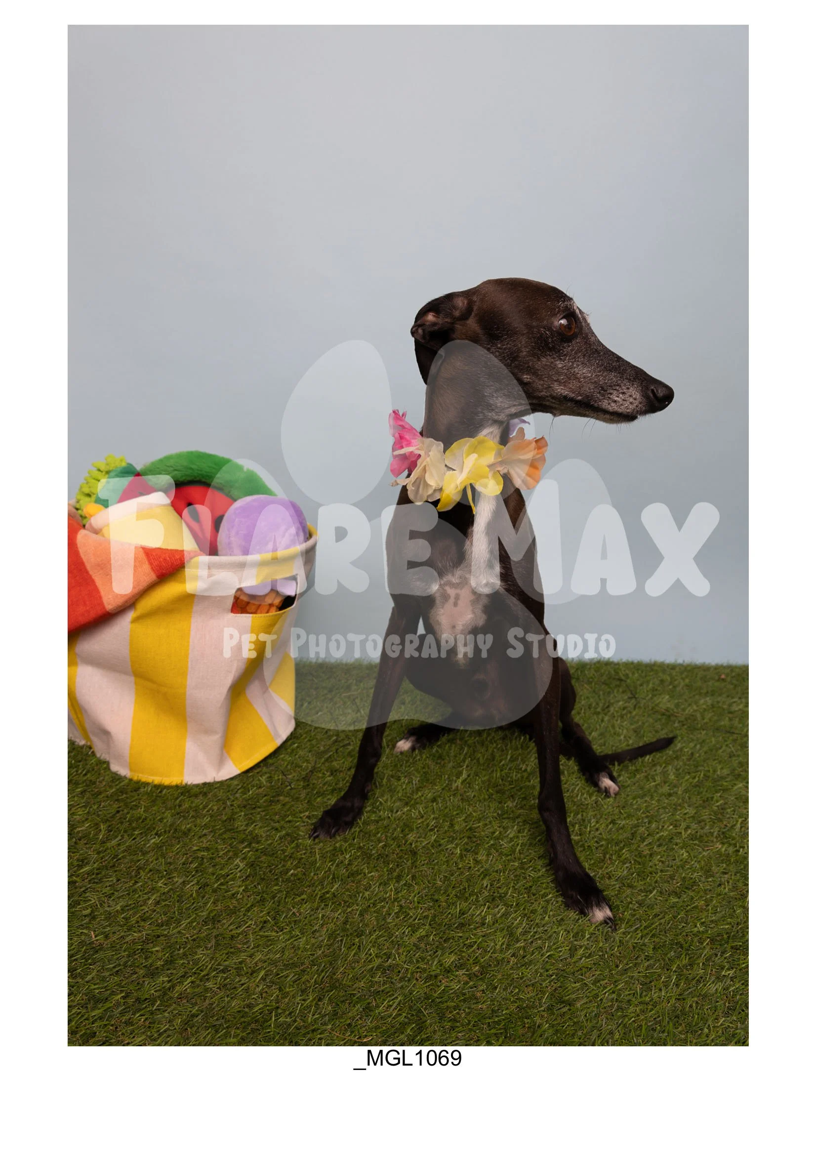 Doghouse gallery-059.jpg
