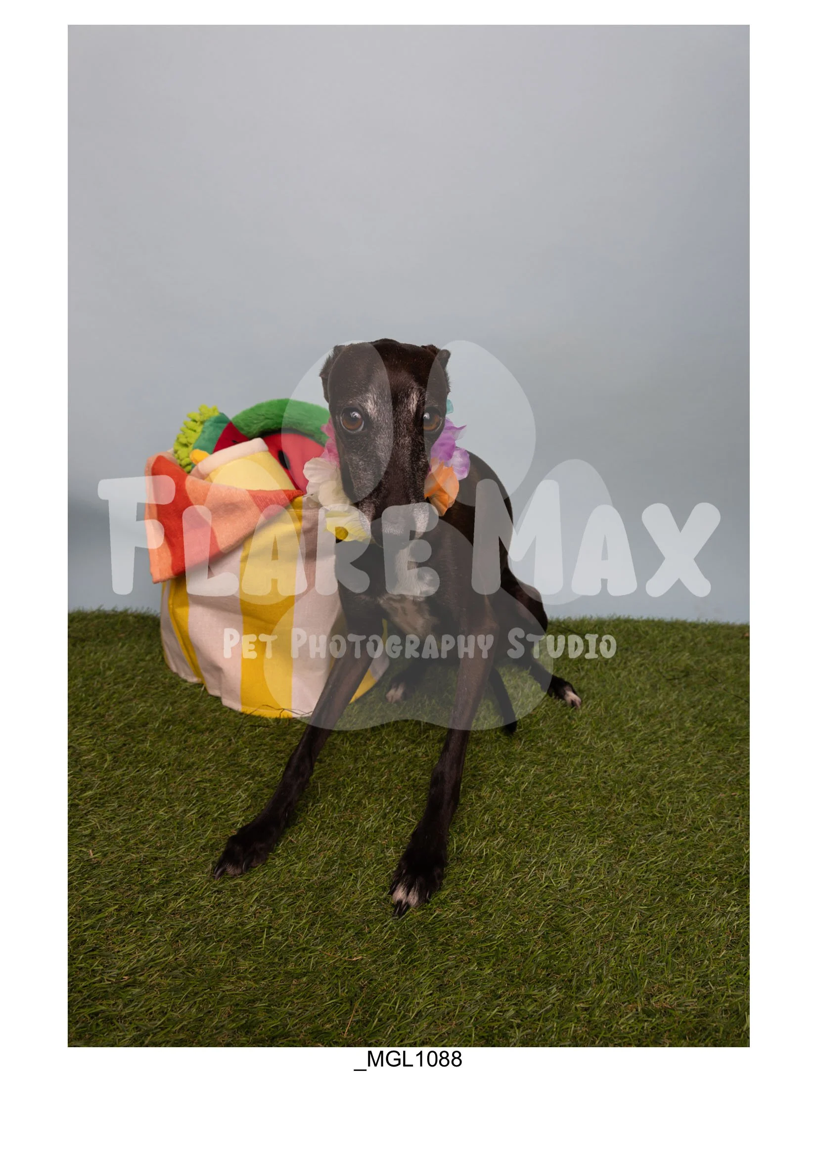 Doghouse gallery-061.jpg