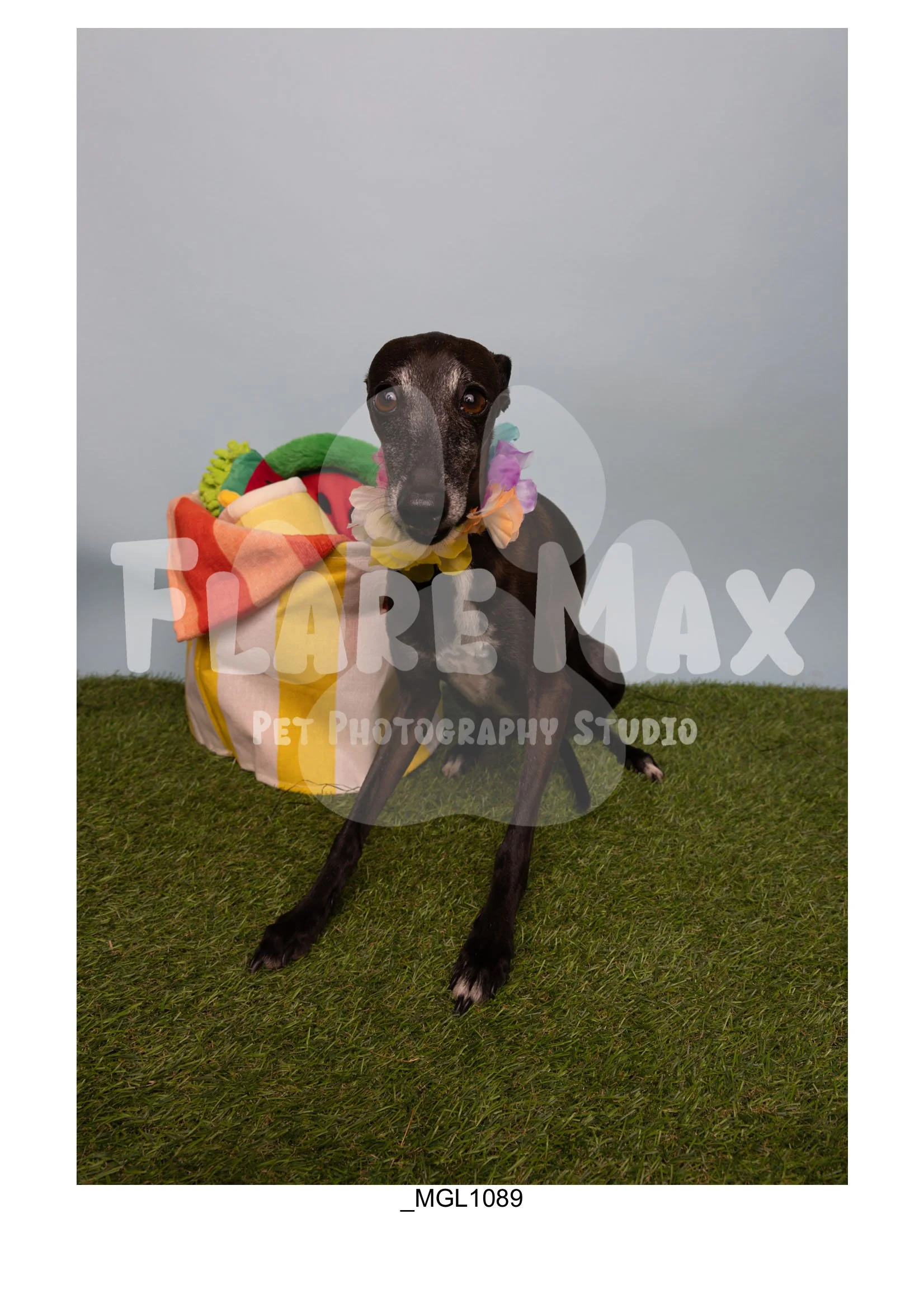Doghouse gallery-062.jpg