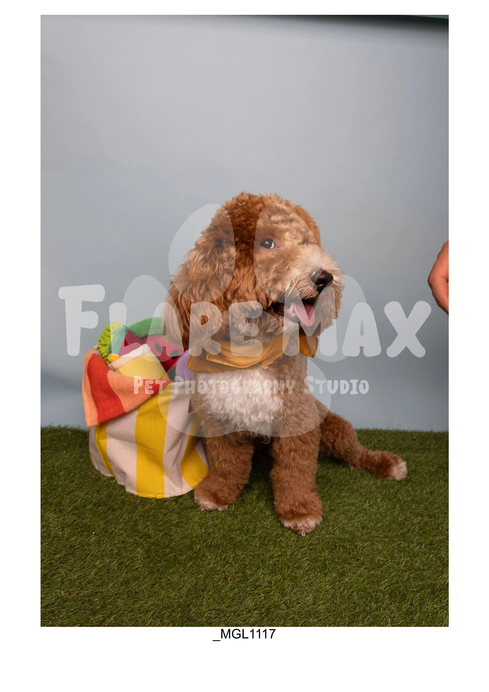 Doghouse gallery-063.jpg