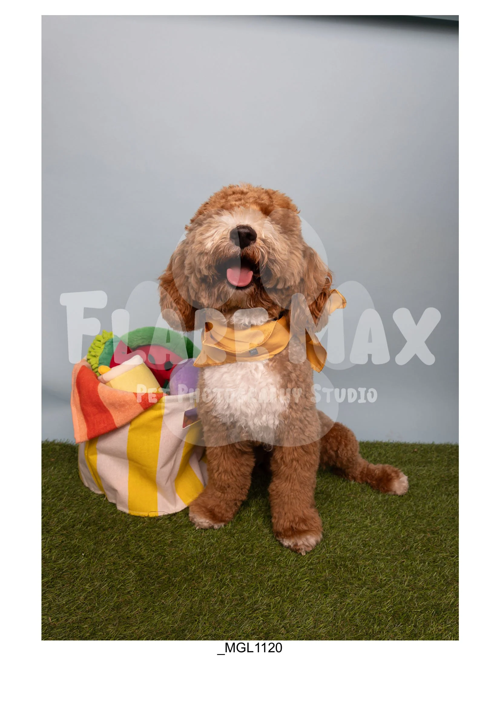 Doghouse gallery-064.jpg