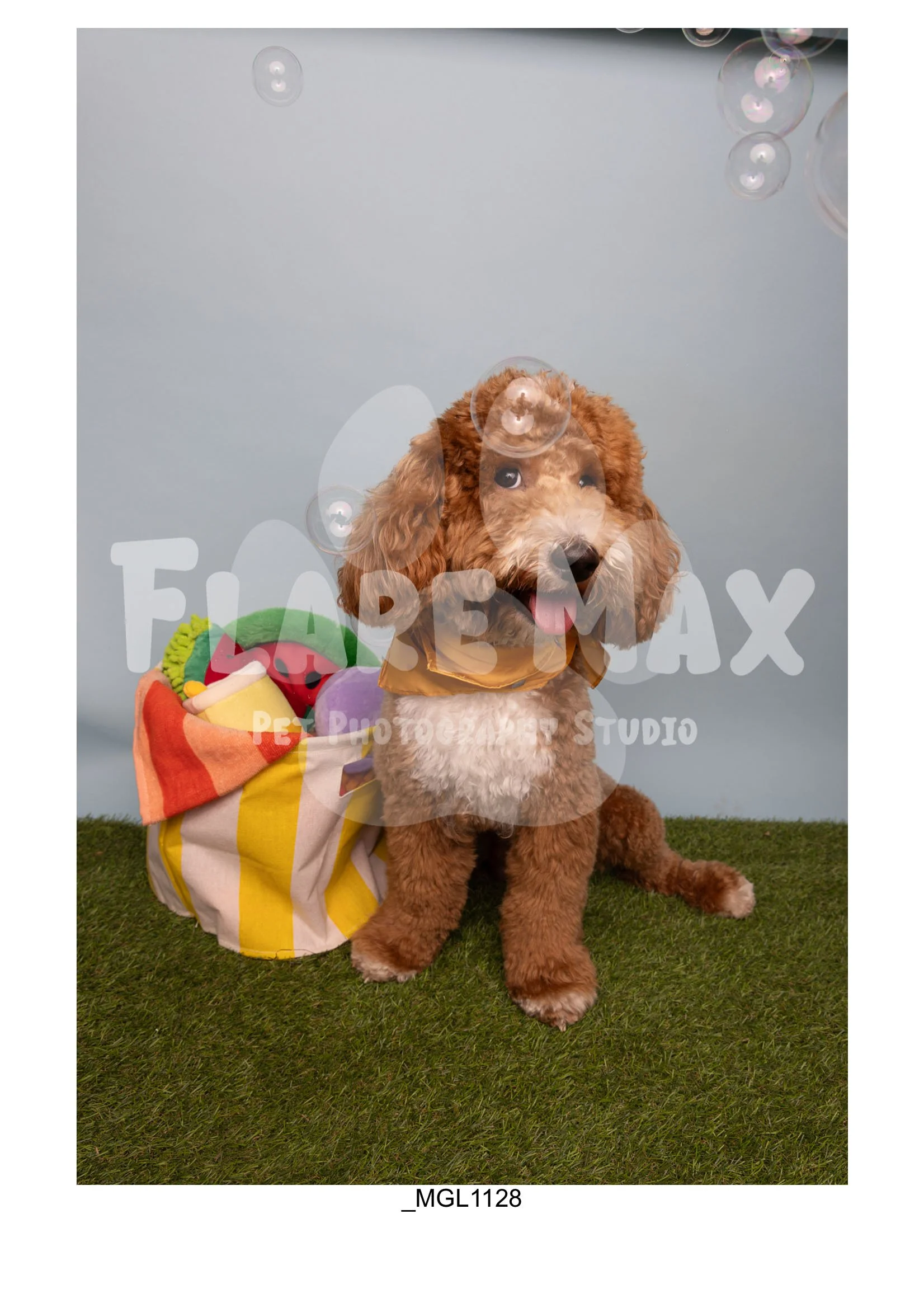 Doghouse gallery-065.jpg
