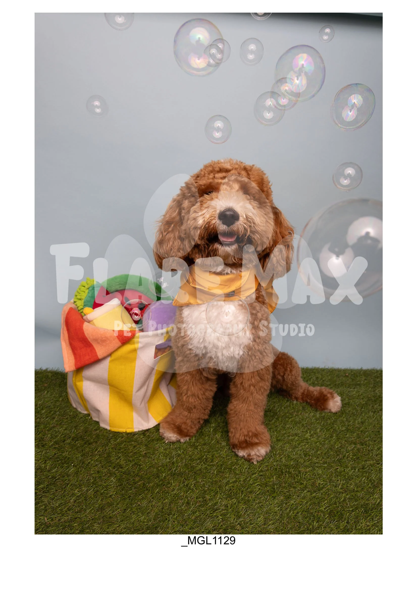 Doghouse gallery-066.jpg