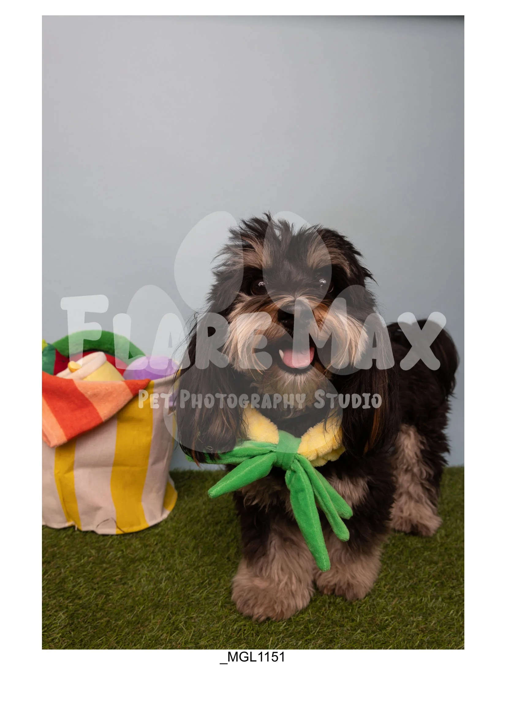Doghouse gallery-067.jpg