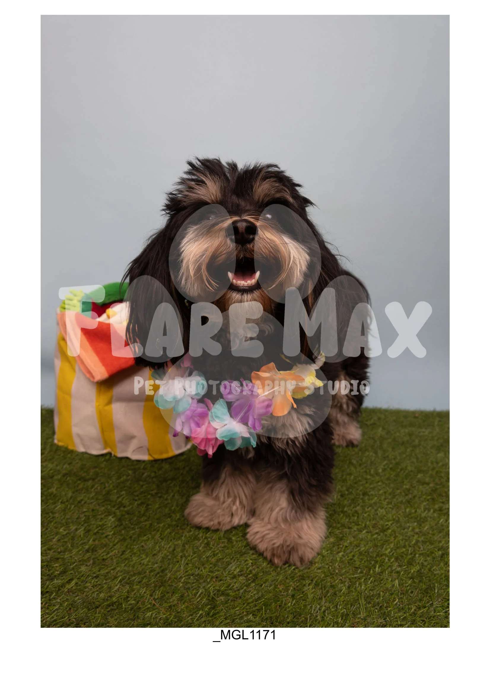 Doghouse gallery-069.jpg