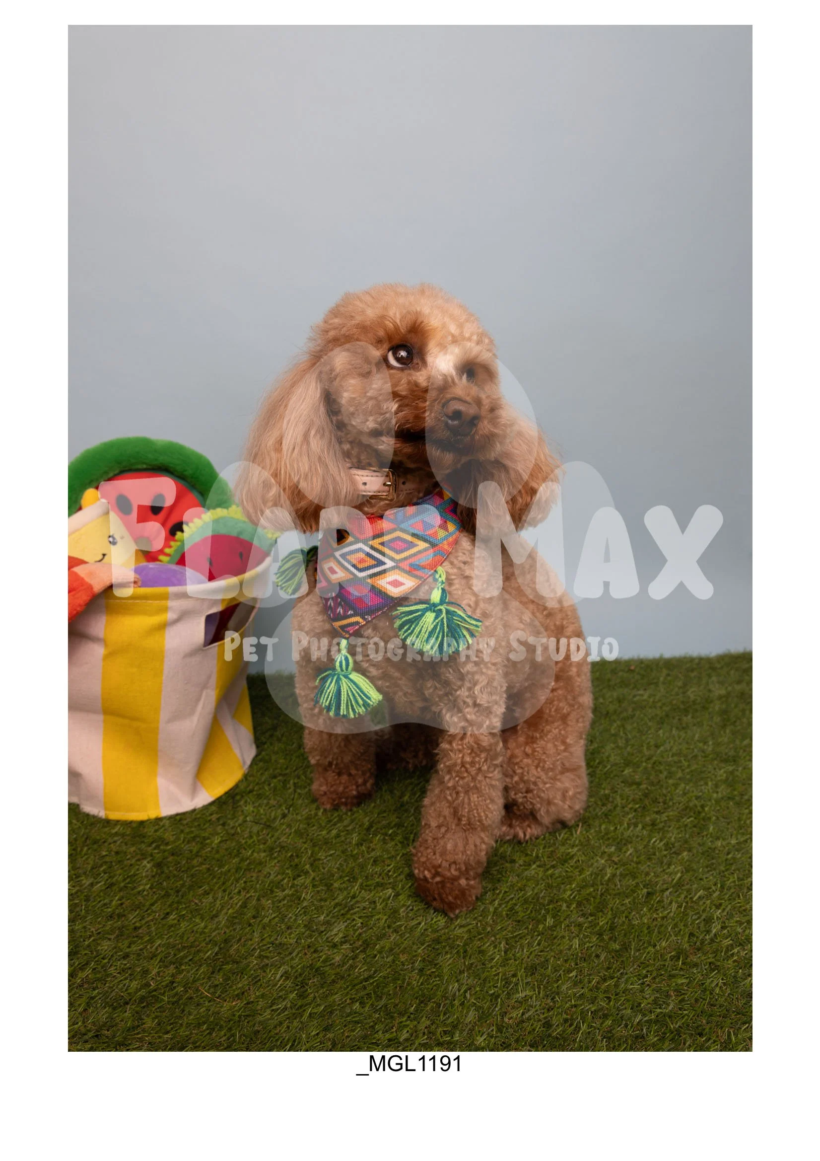 Doghouse gallery-071.jpg