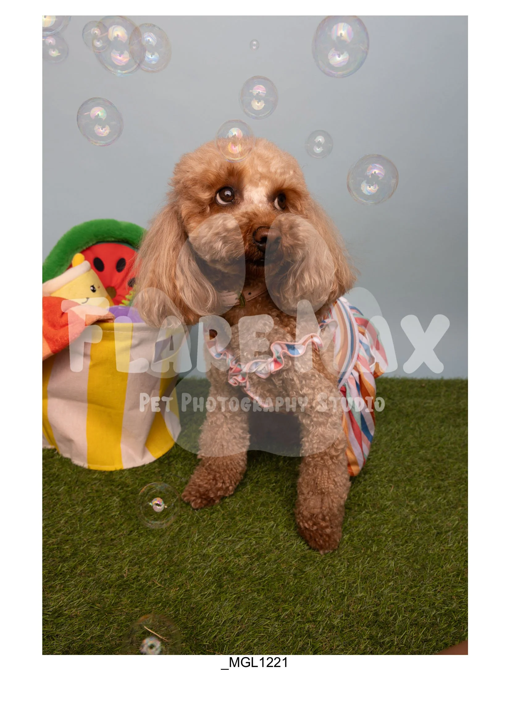 Doghouse gallery-072.jpg