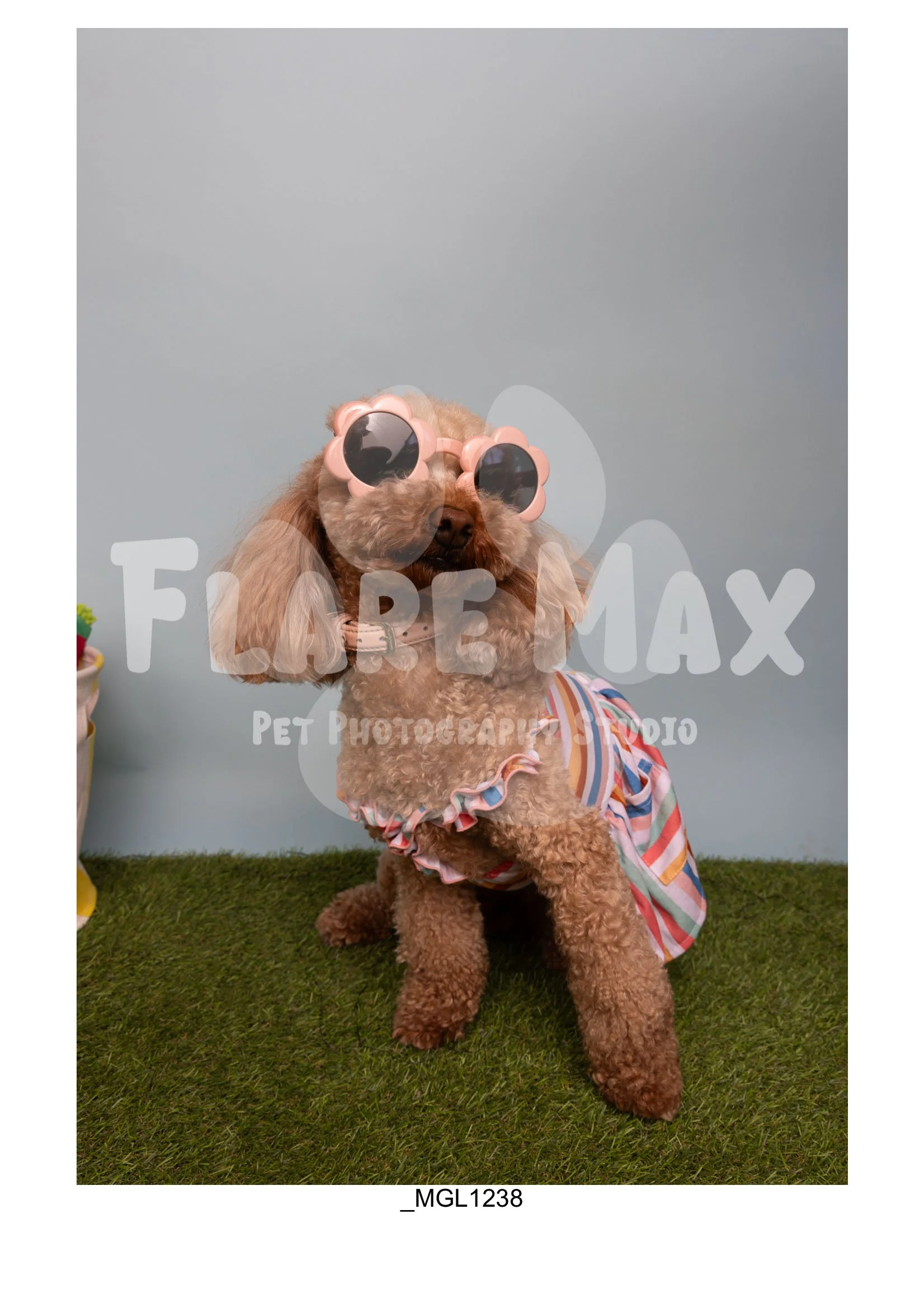 Doghouse gallery-073.jpg
