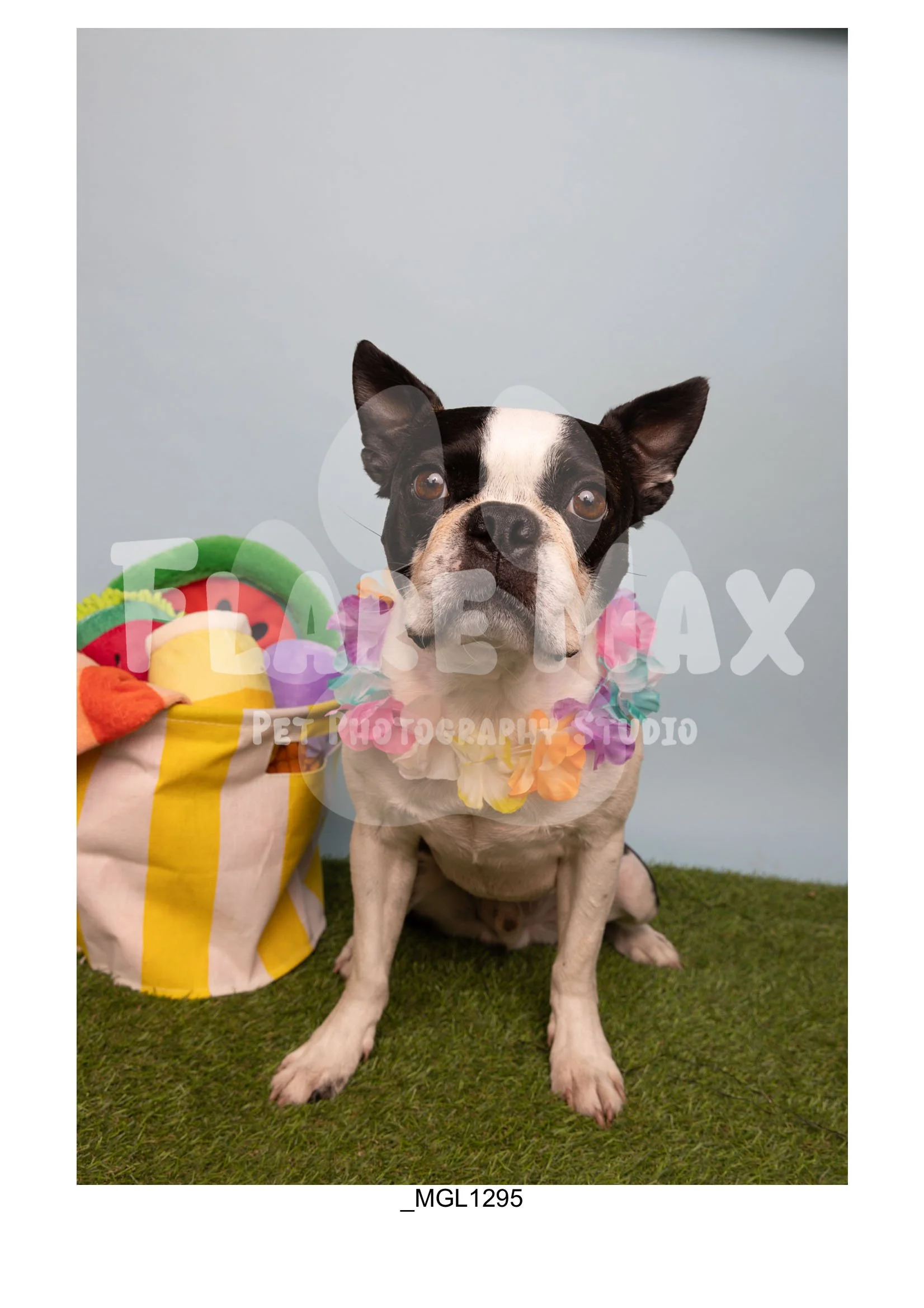 Doghouse gallery-074.jpg
